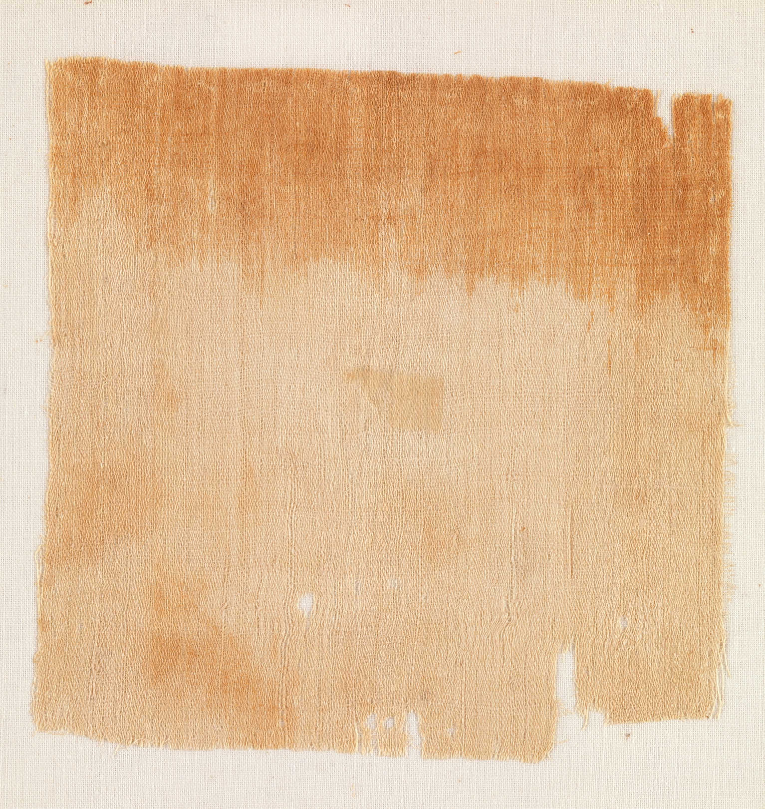 Sample of Cloth