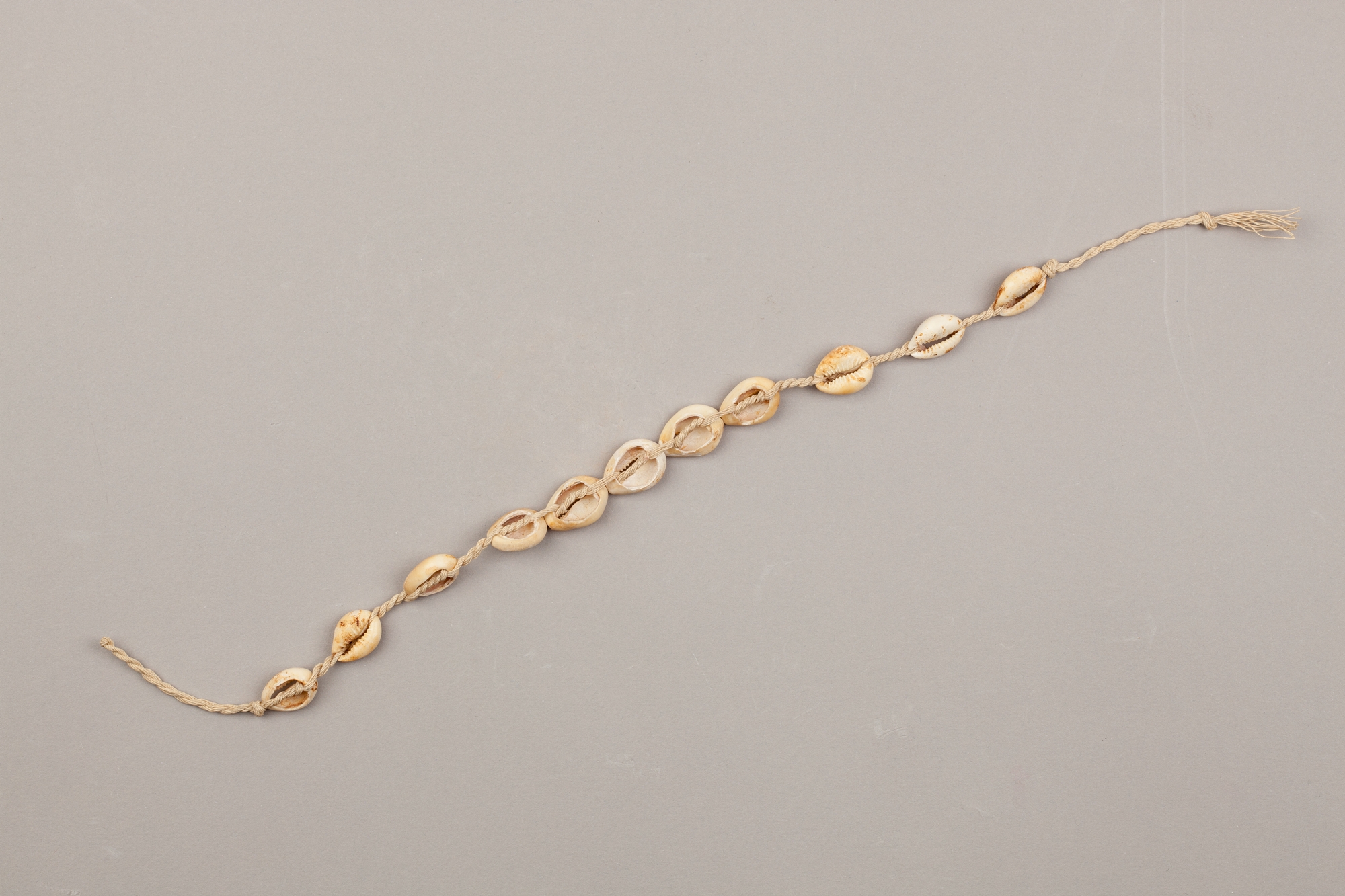 String of cowrie shell beads on fiber