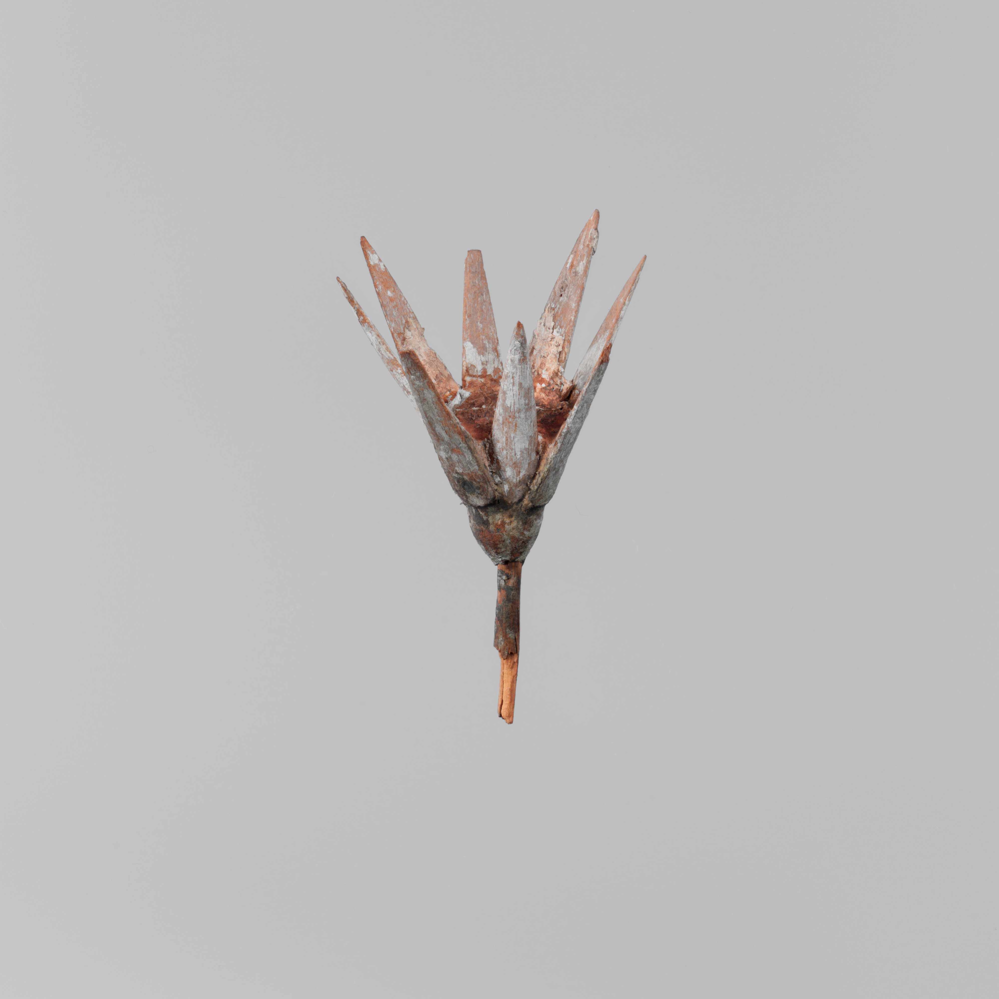 Model Lotus Flower