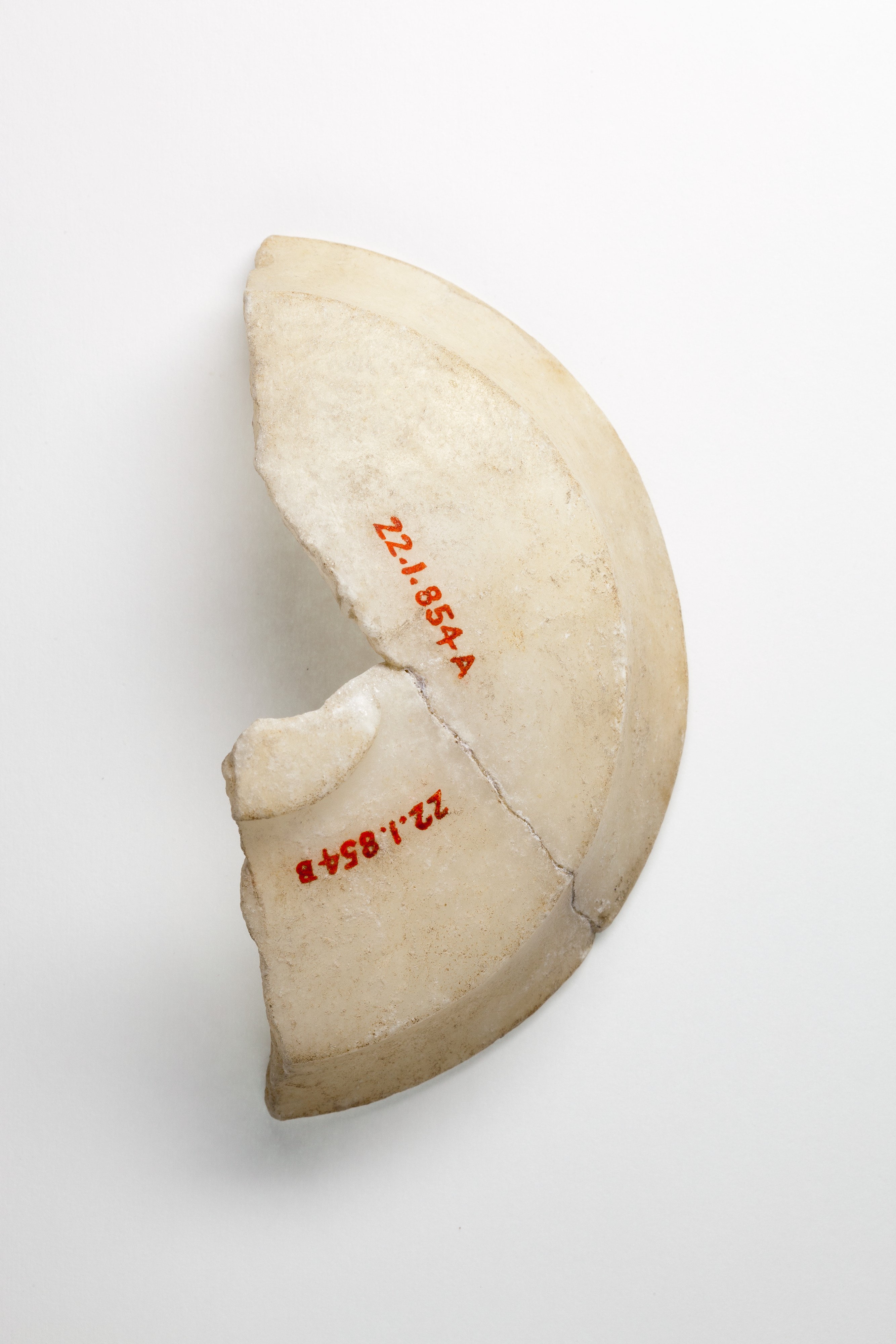 Bowl fragment
