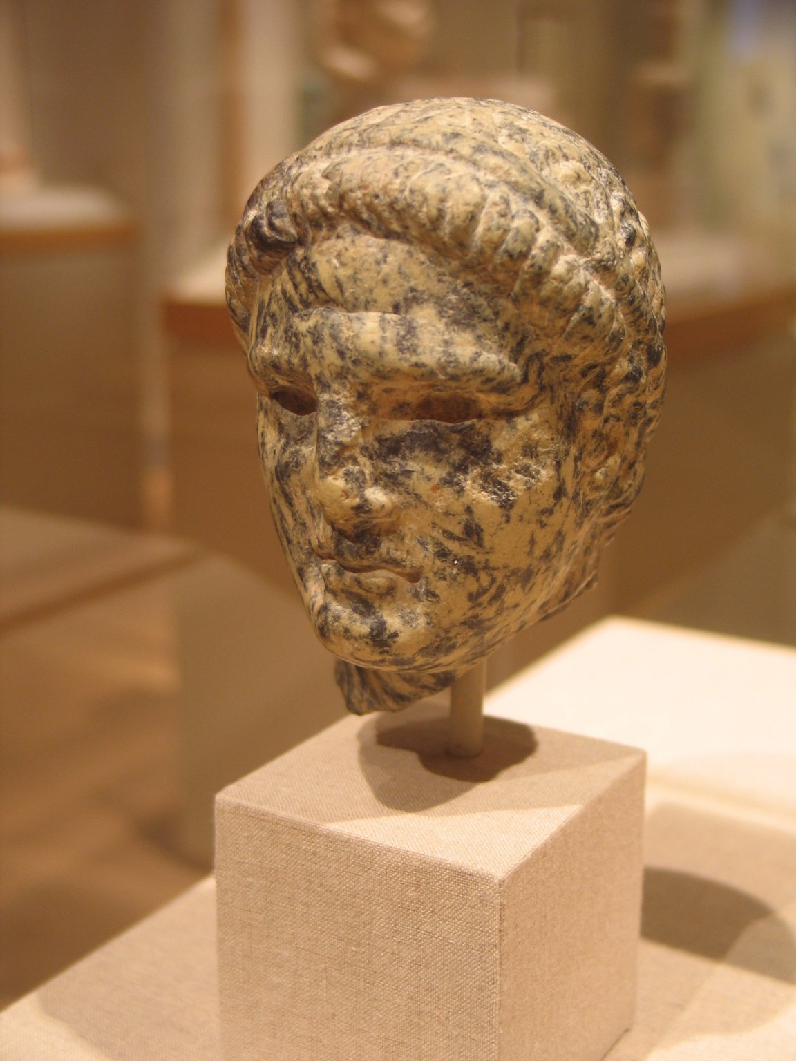 Royal Bust