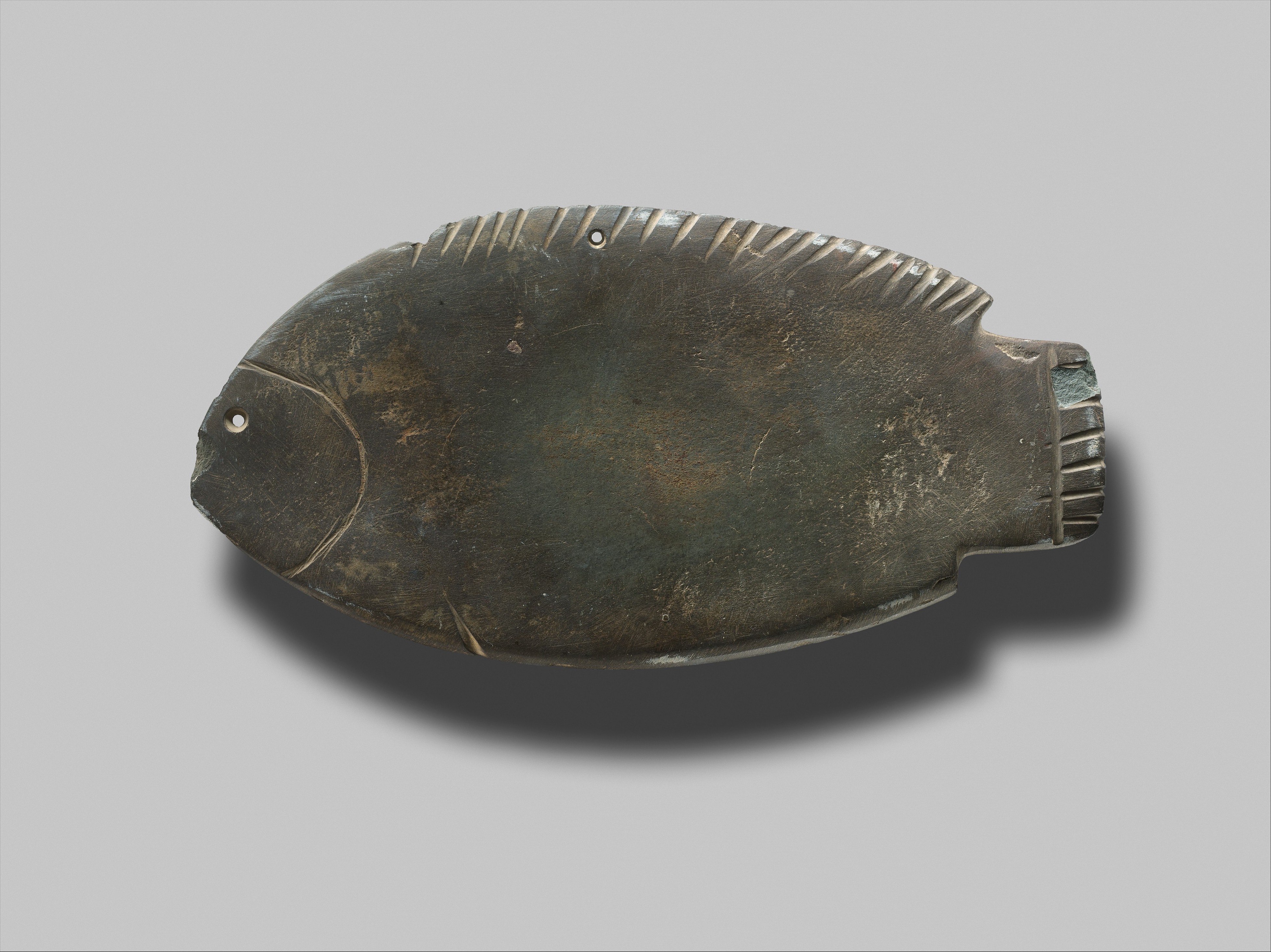 Fish-shaped palette