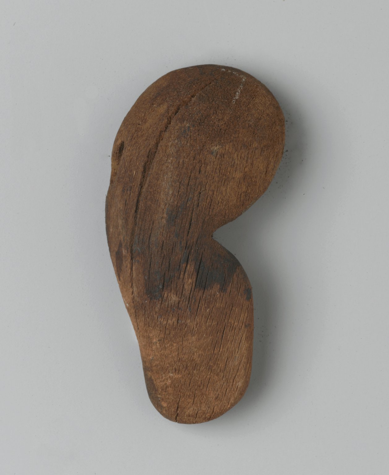 Ear