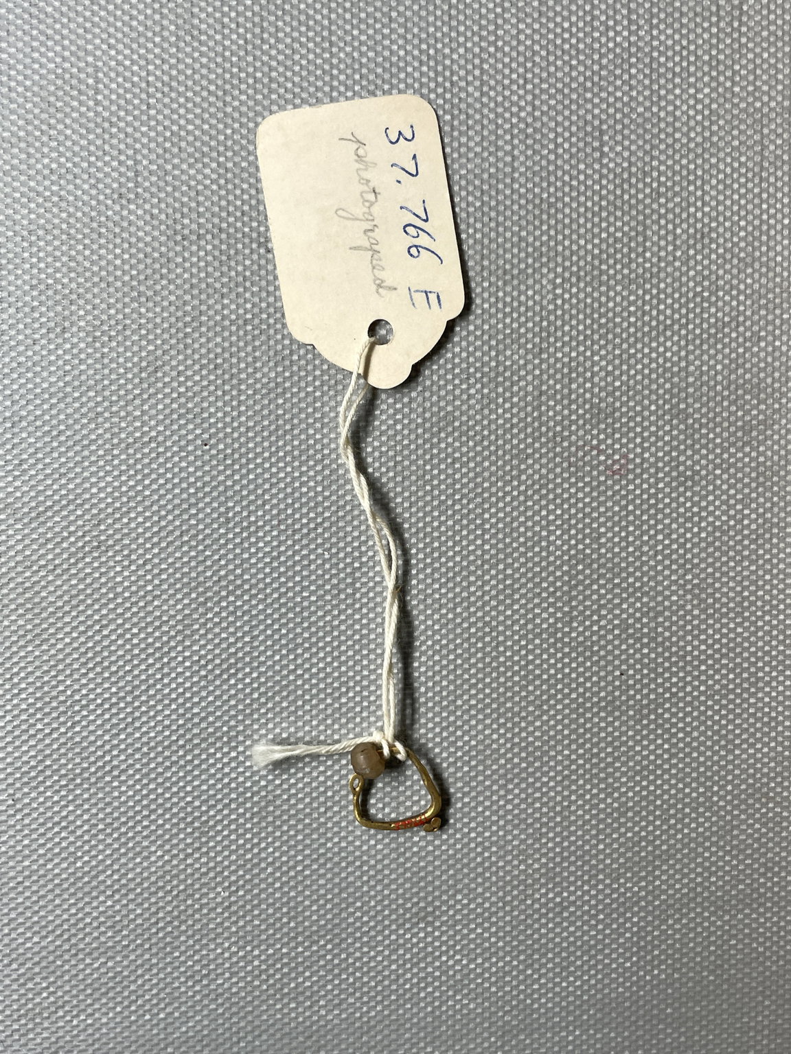 Small Loop Earring