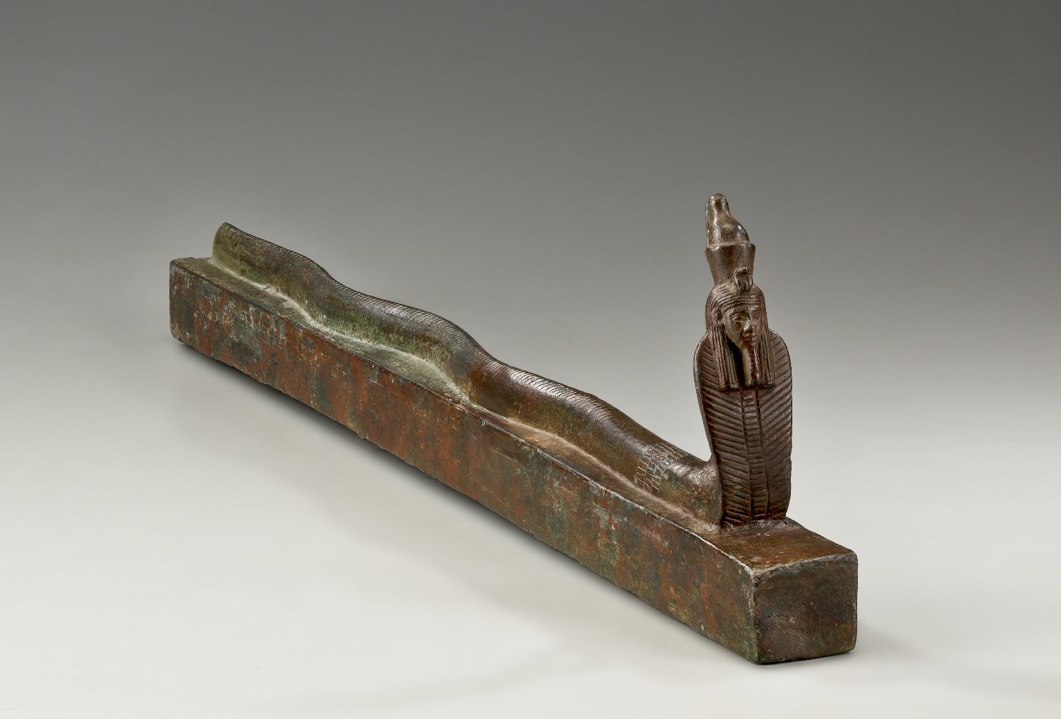 Snake Coffin