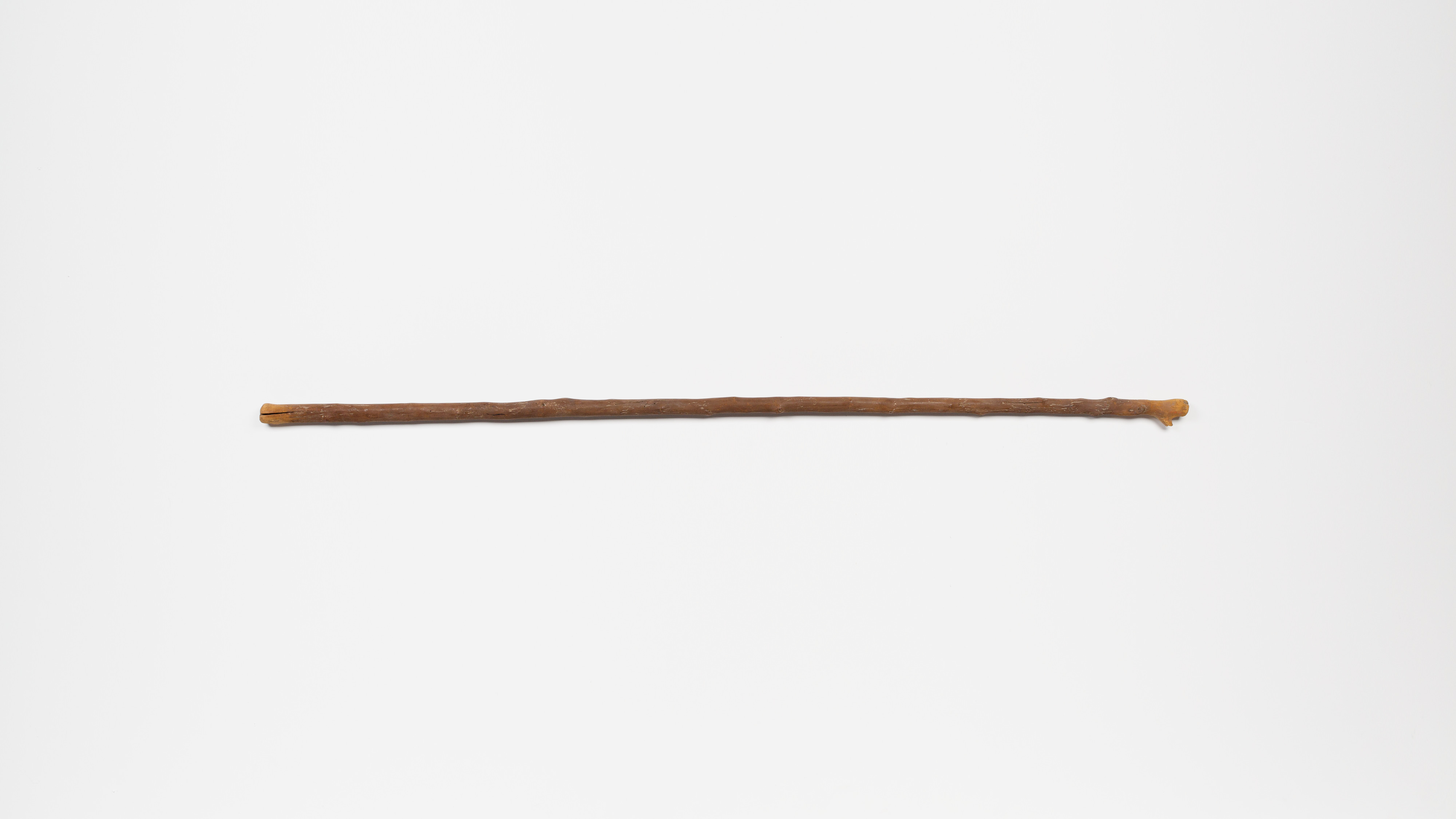 Staff, forked