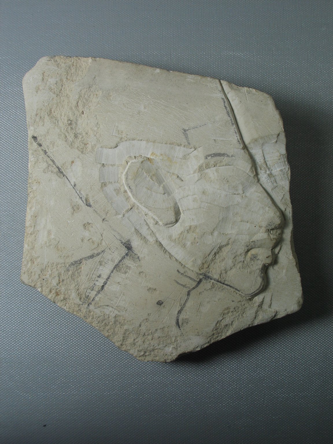 Unfinished Portrait of Nefertiti