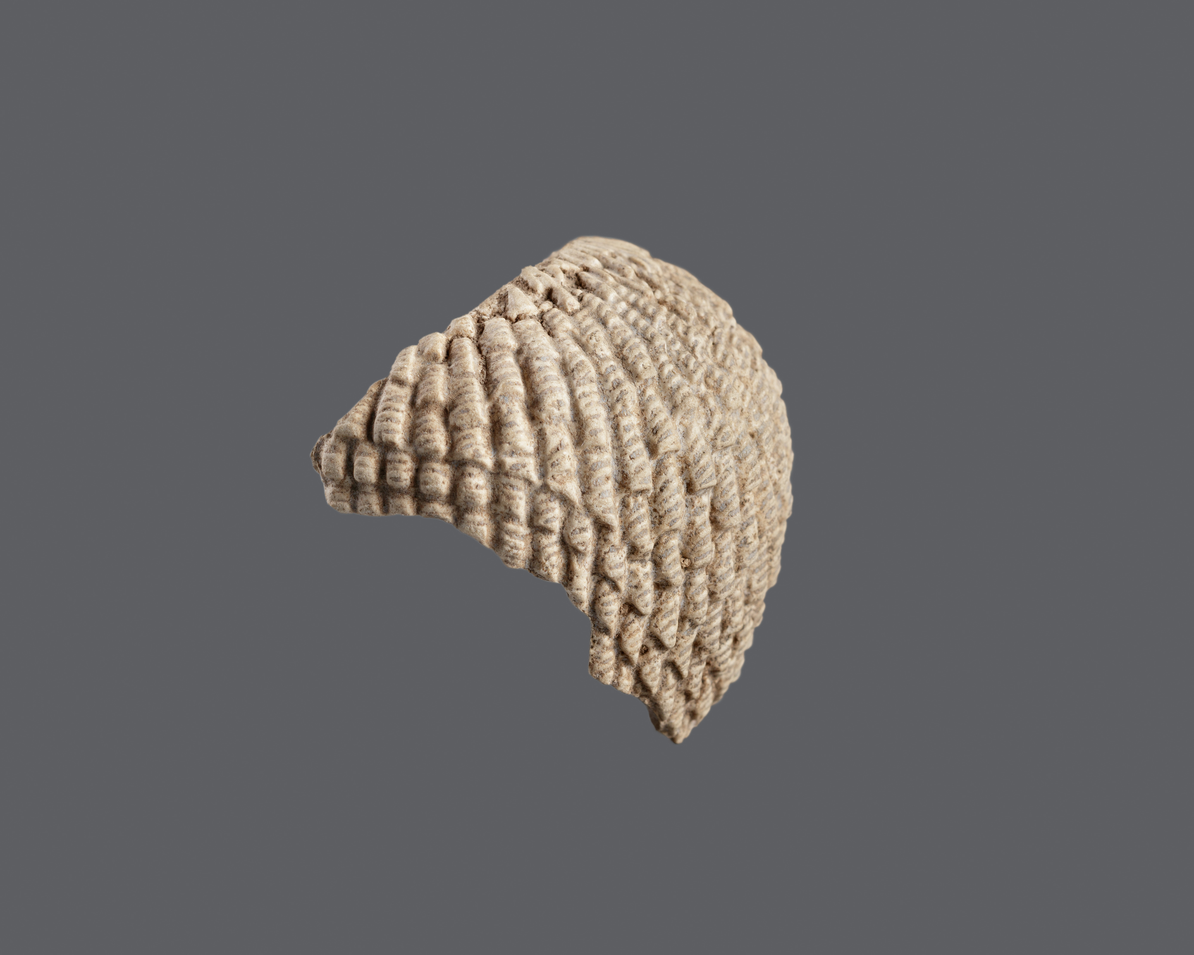 Wig fragment