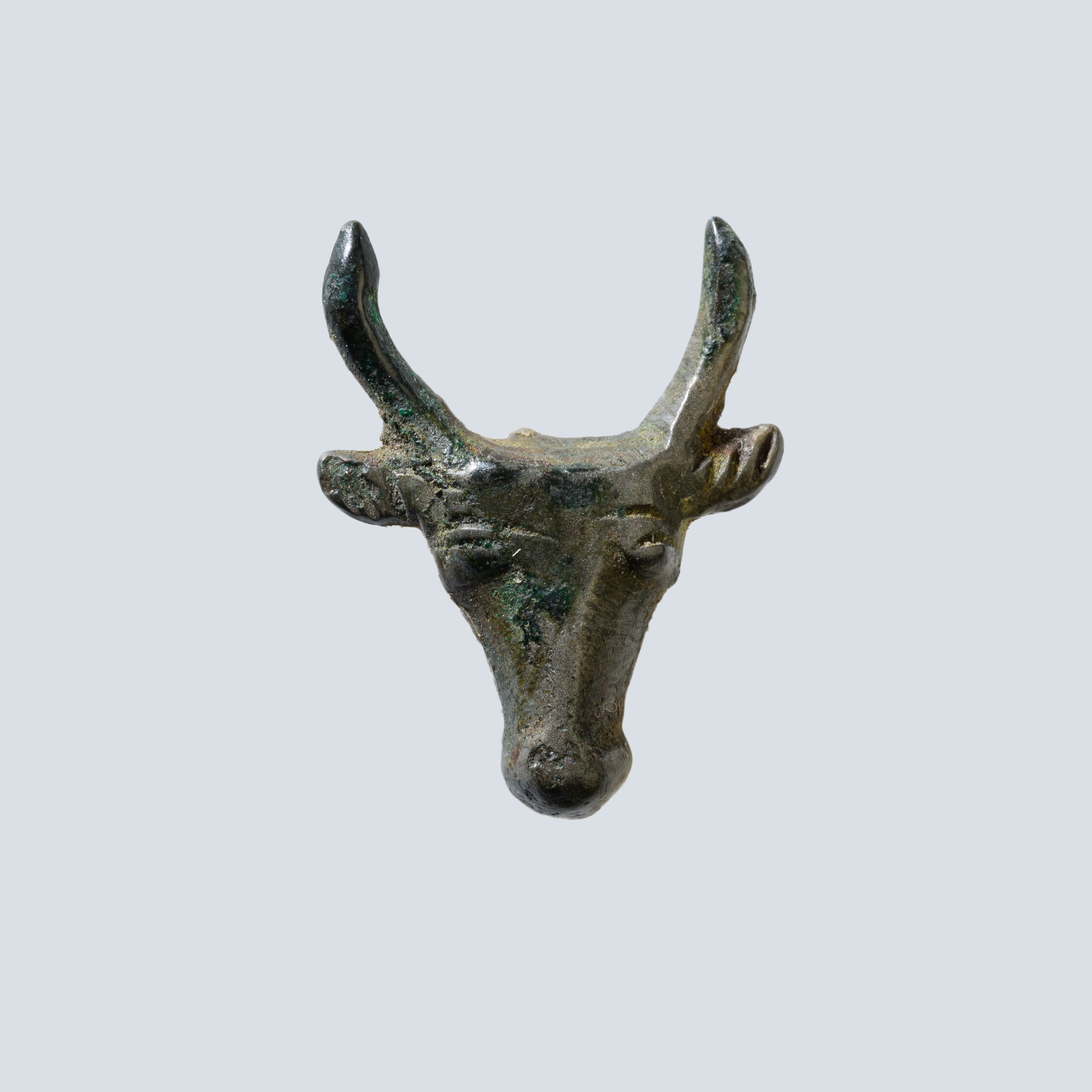 Bull's head