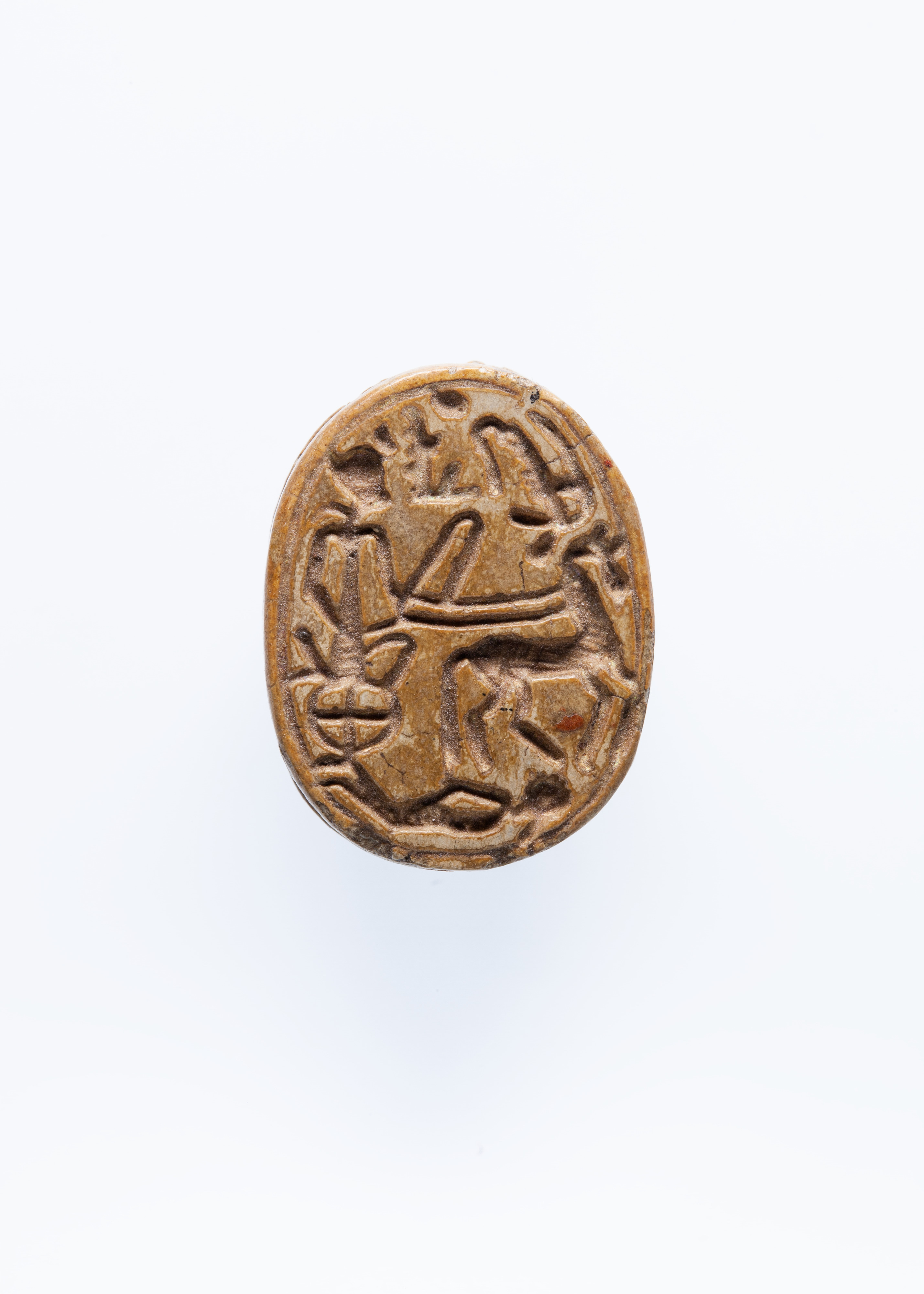 Scarab