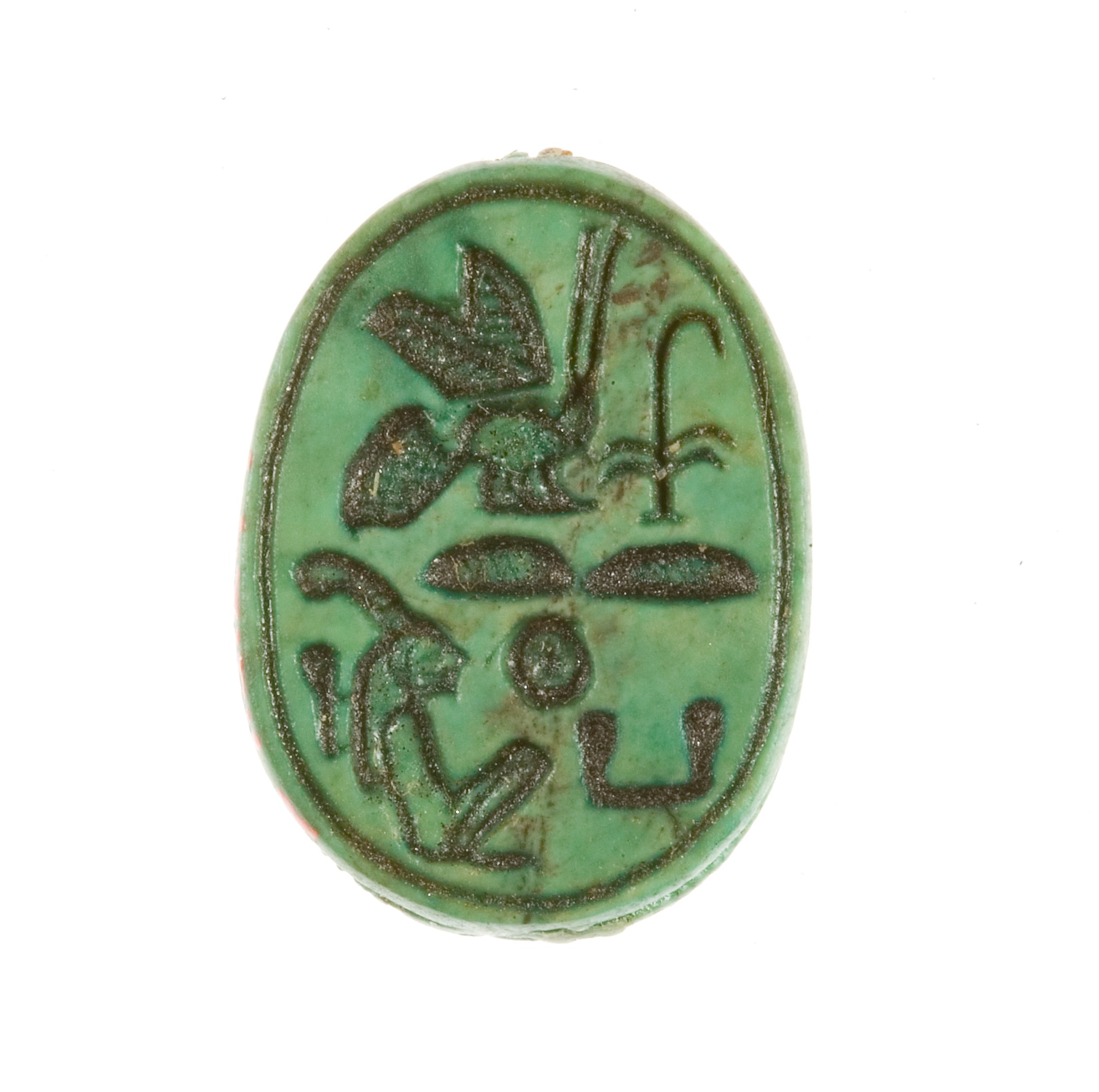 Scarab Inscribed for the King of Upper and Lower Egypt Maatkare (Hatshepsut)
