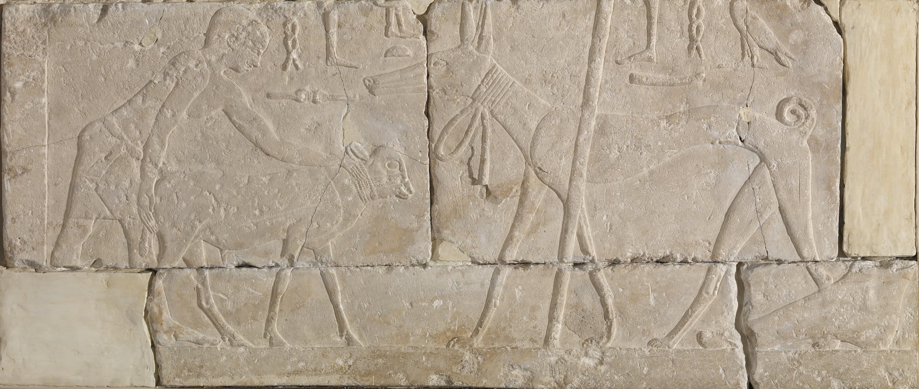 Man with Calf and Dog