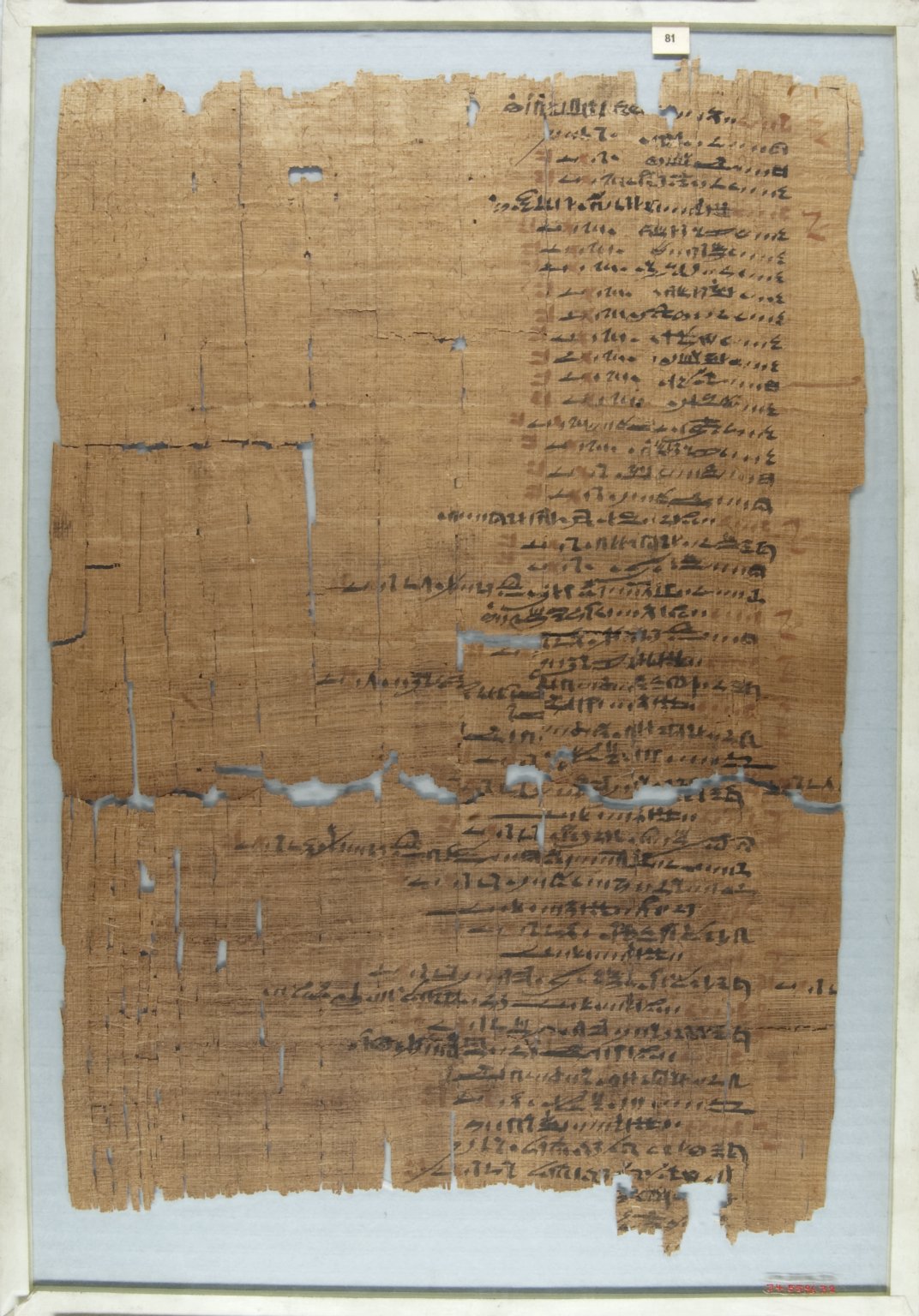 The Wilbour Papyrus
