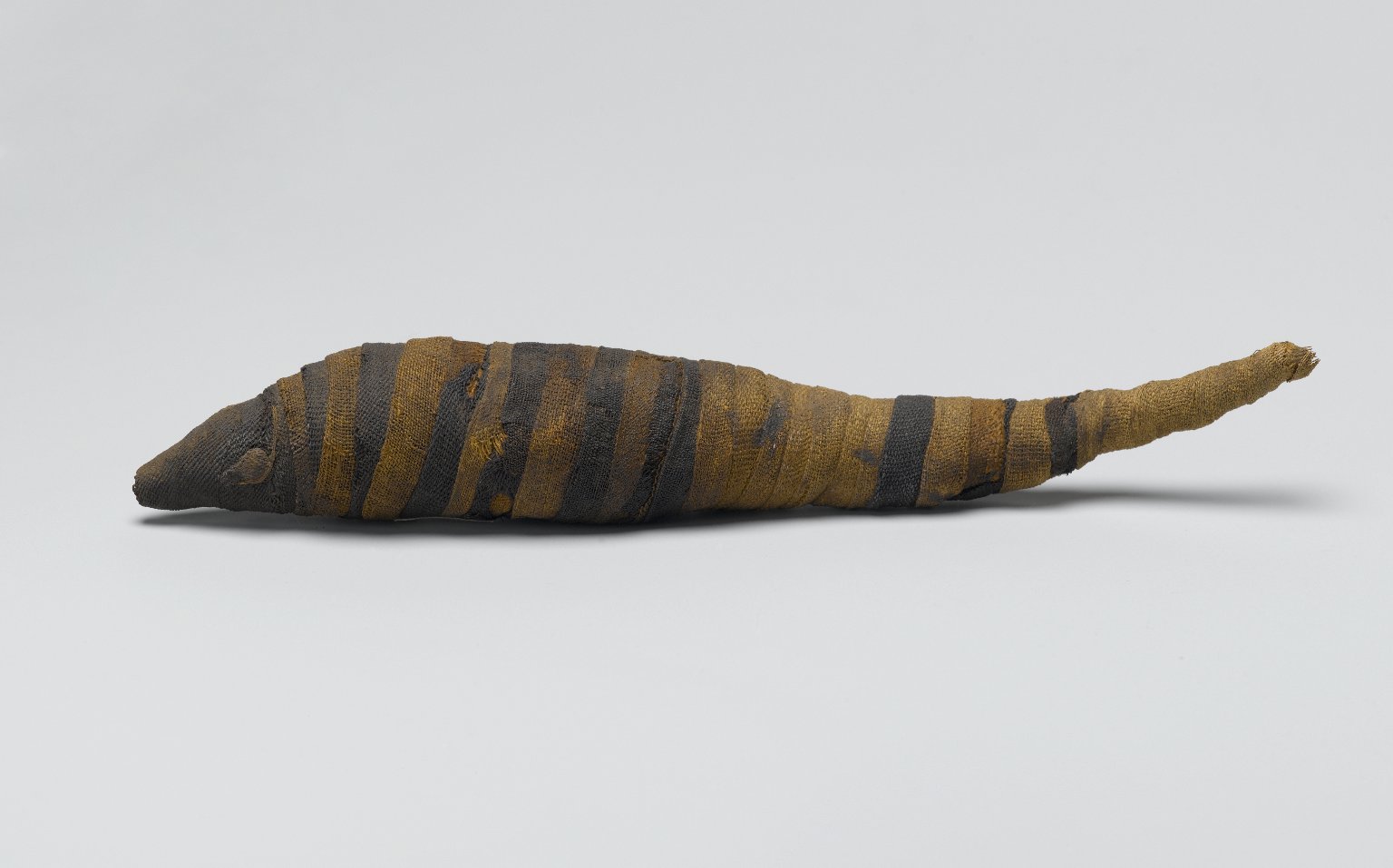 Shrew Mummy