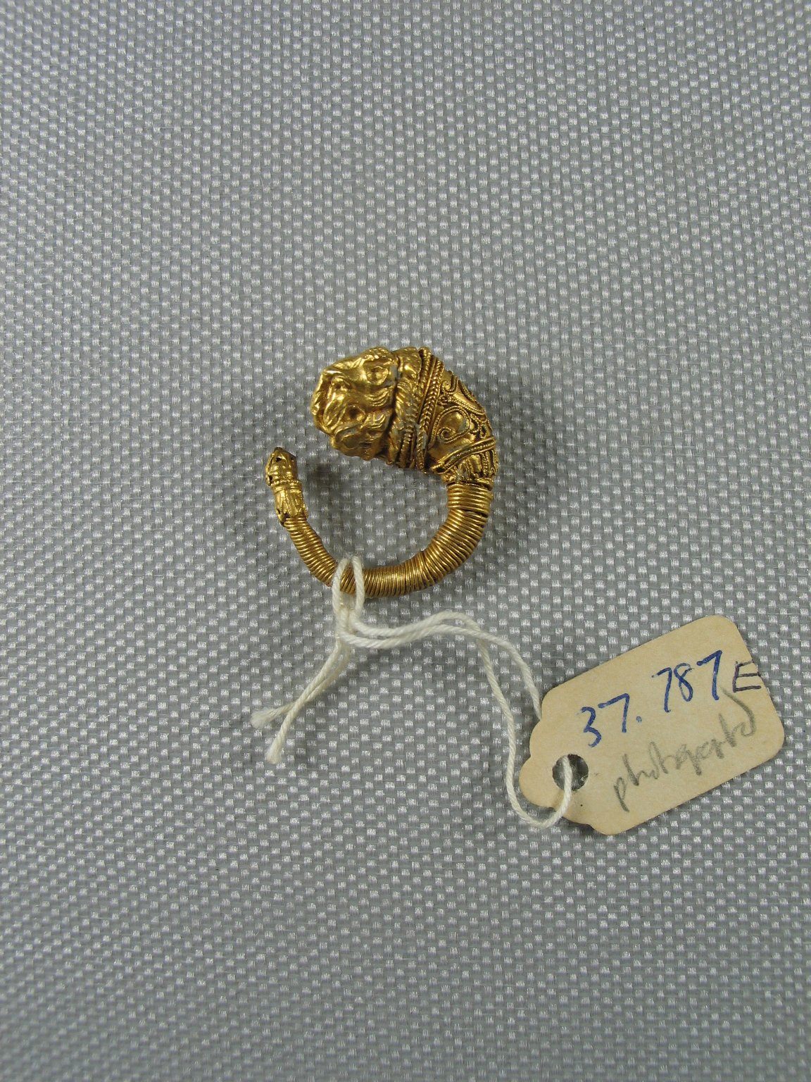 Ornate Earring with Lion's Head