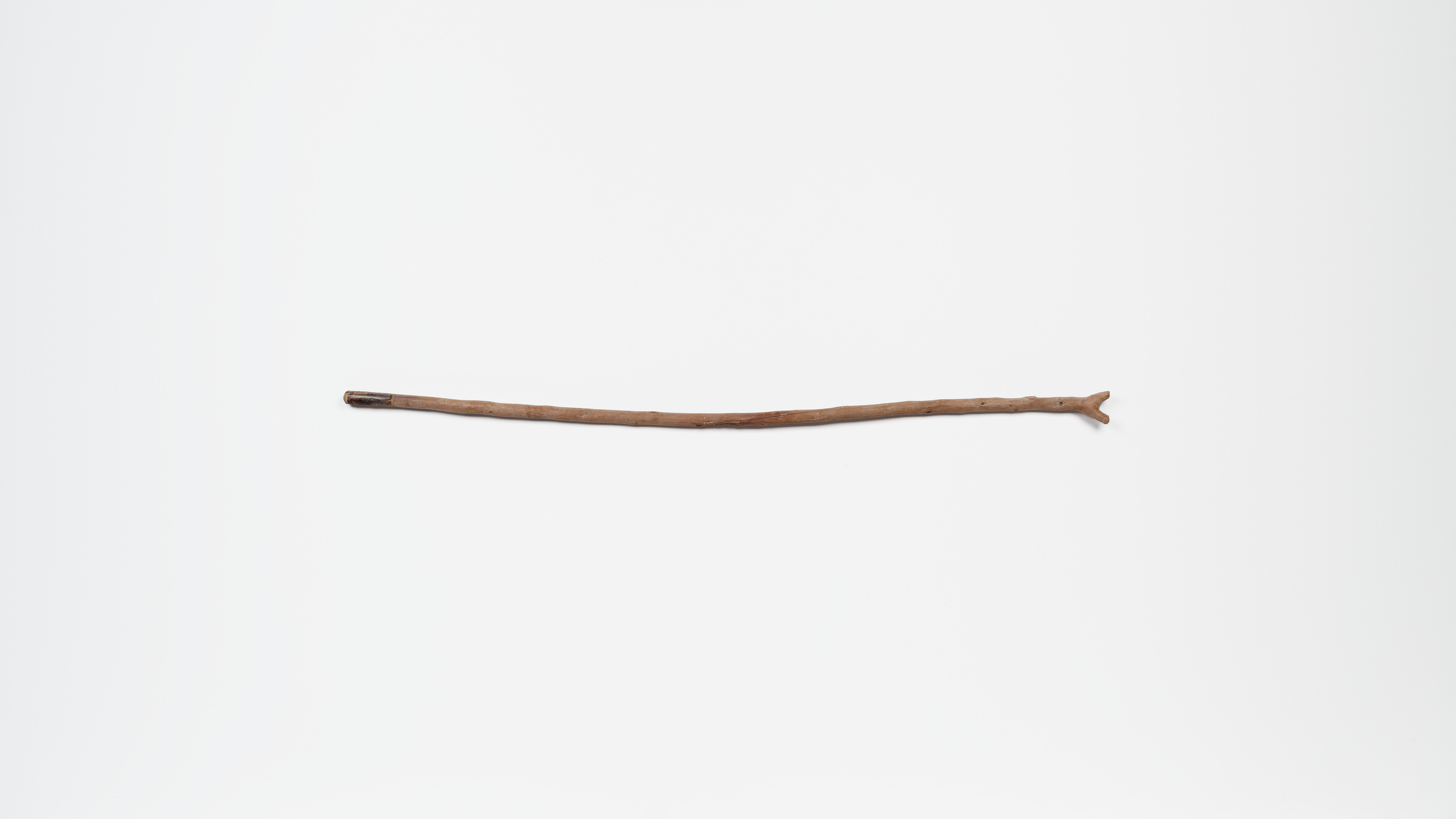 Staff, forked