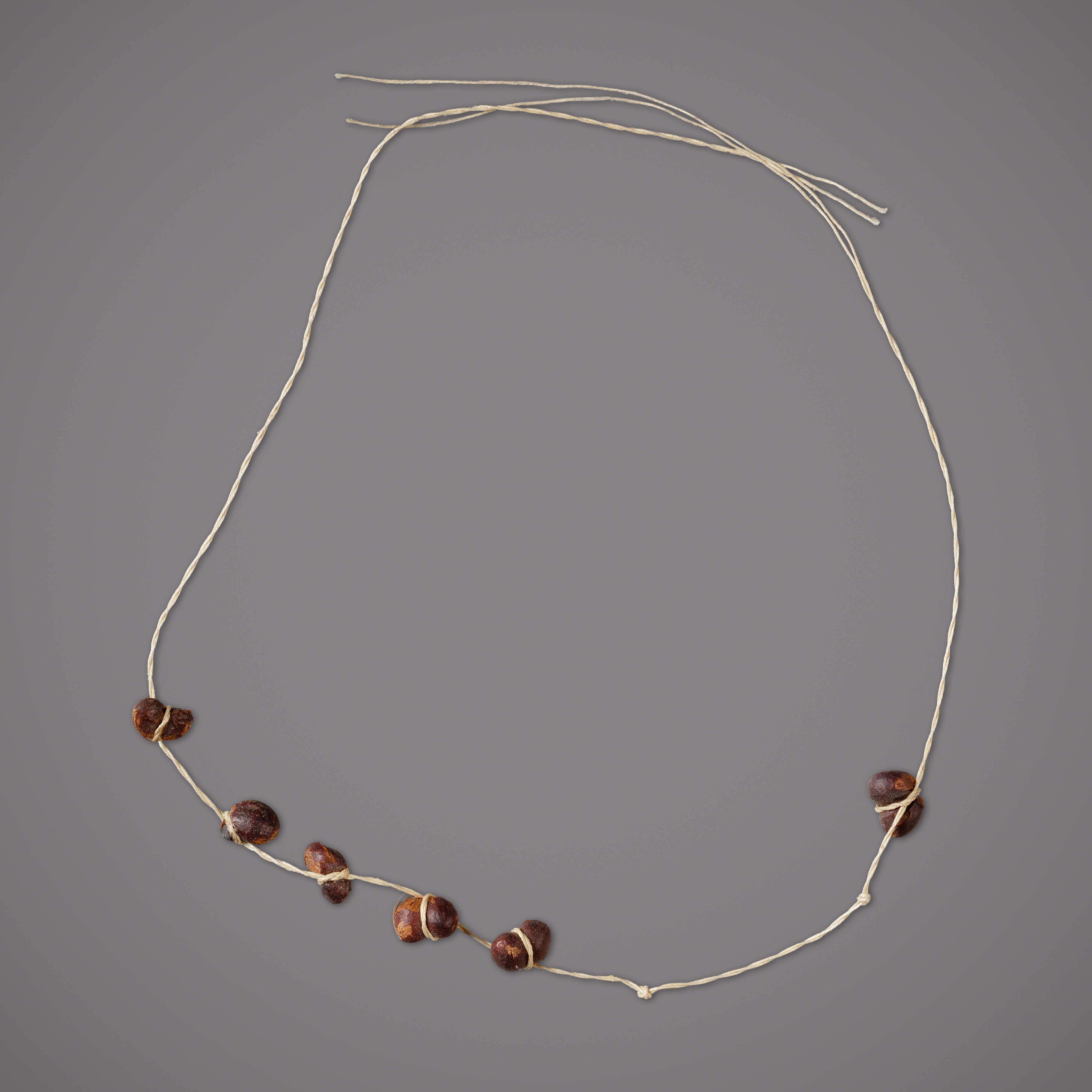 String of 8 kidney-shaped seeds