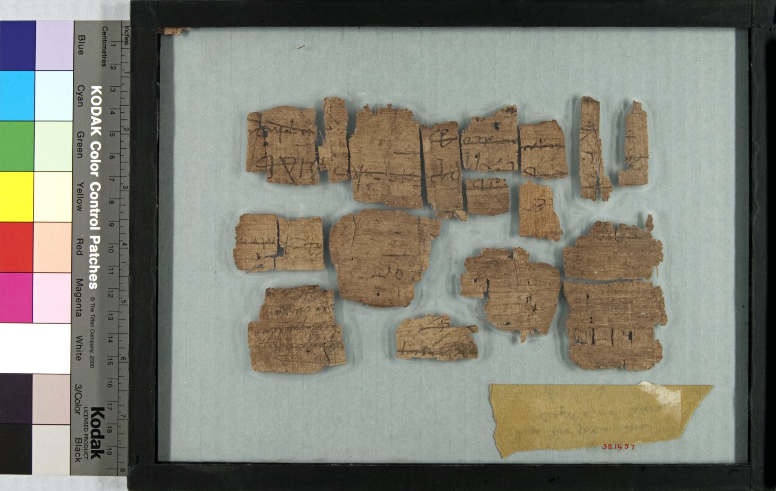 Papyrus Fragments Inscribed in Greek or Coptic