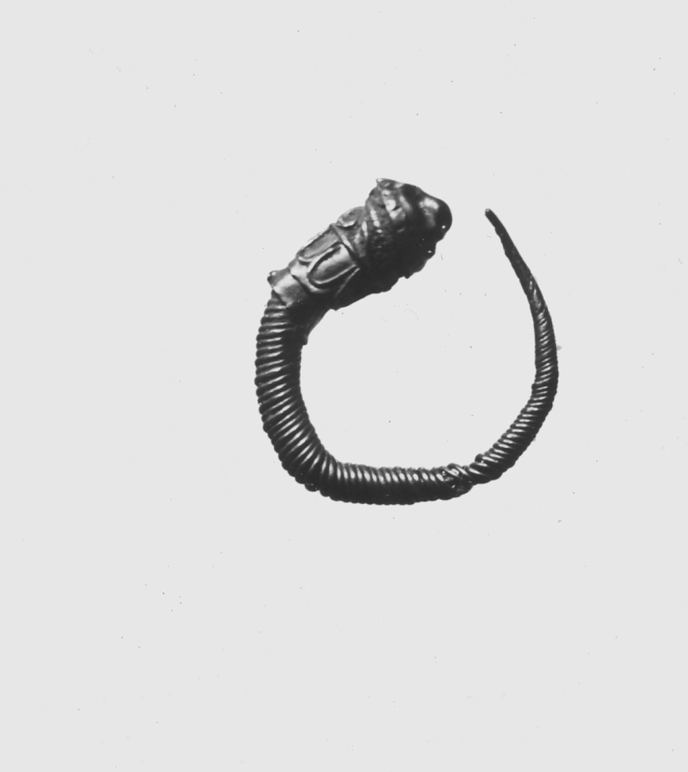 Small Loop Earring with Lion's Head