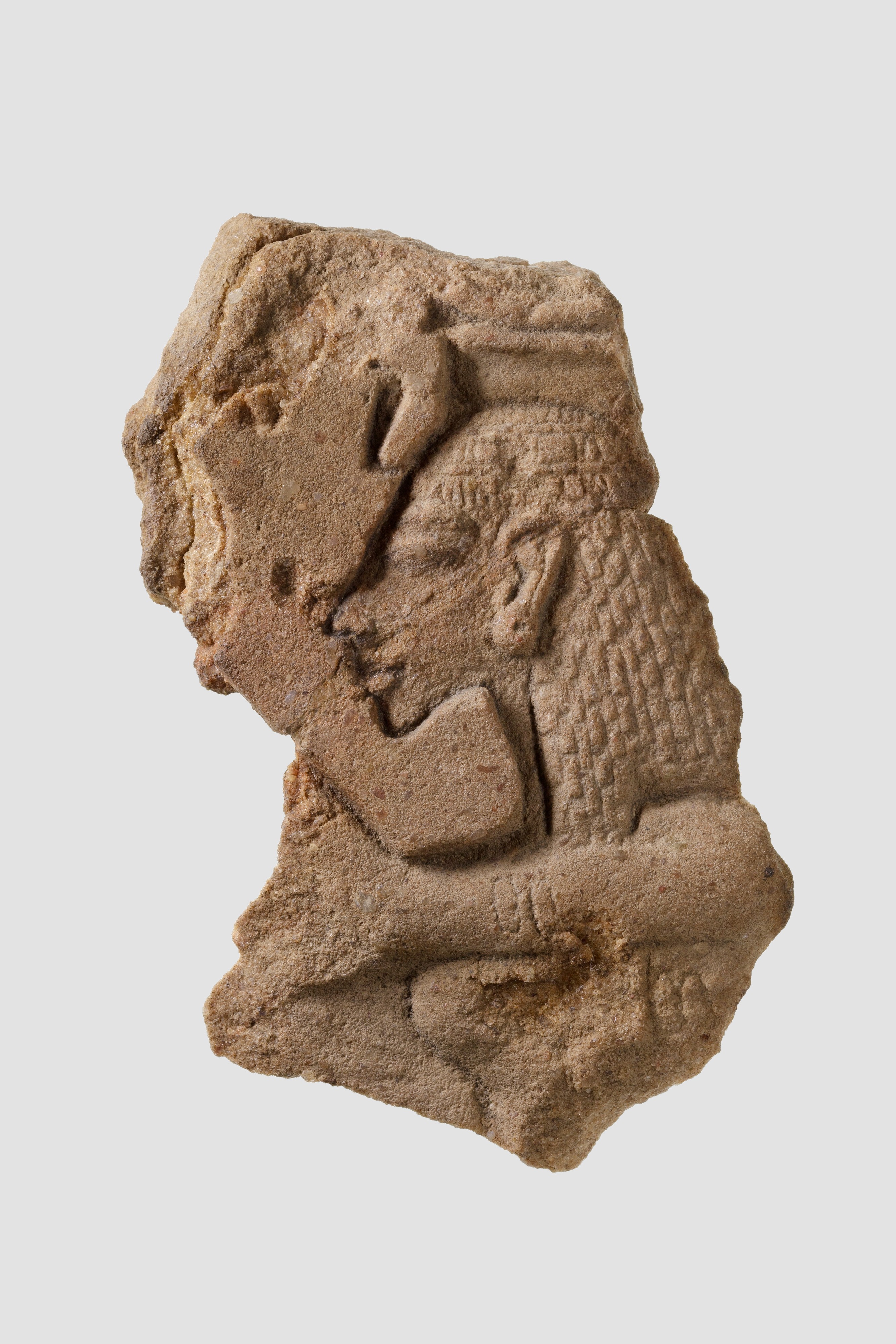 Relief of Queen Nefertiti