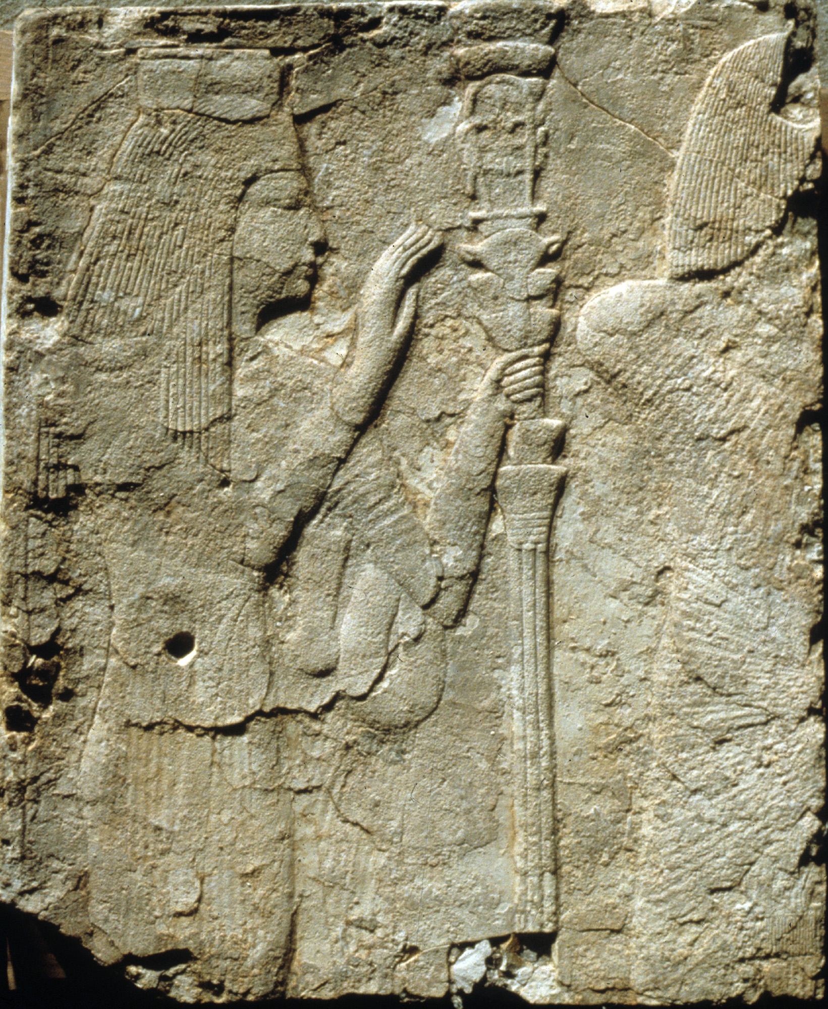 Relief from the South Wall of a Chapel of Ramesses I