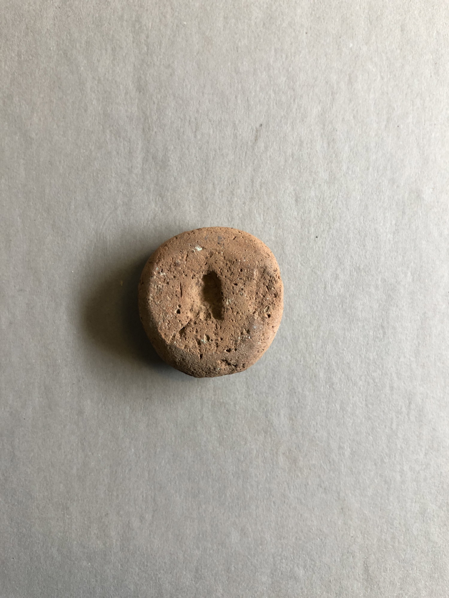 Poppy Seed Head Pendant Mold
