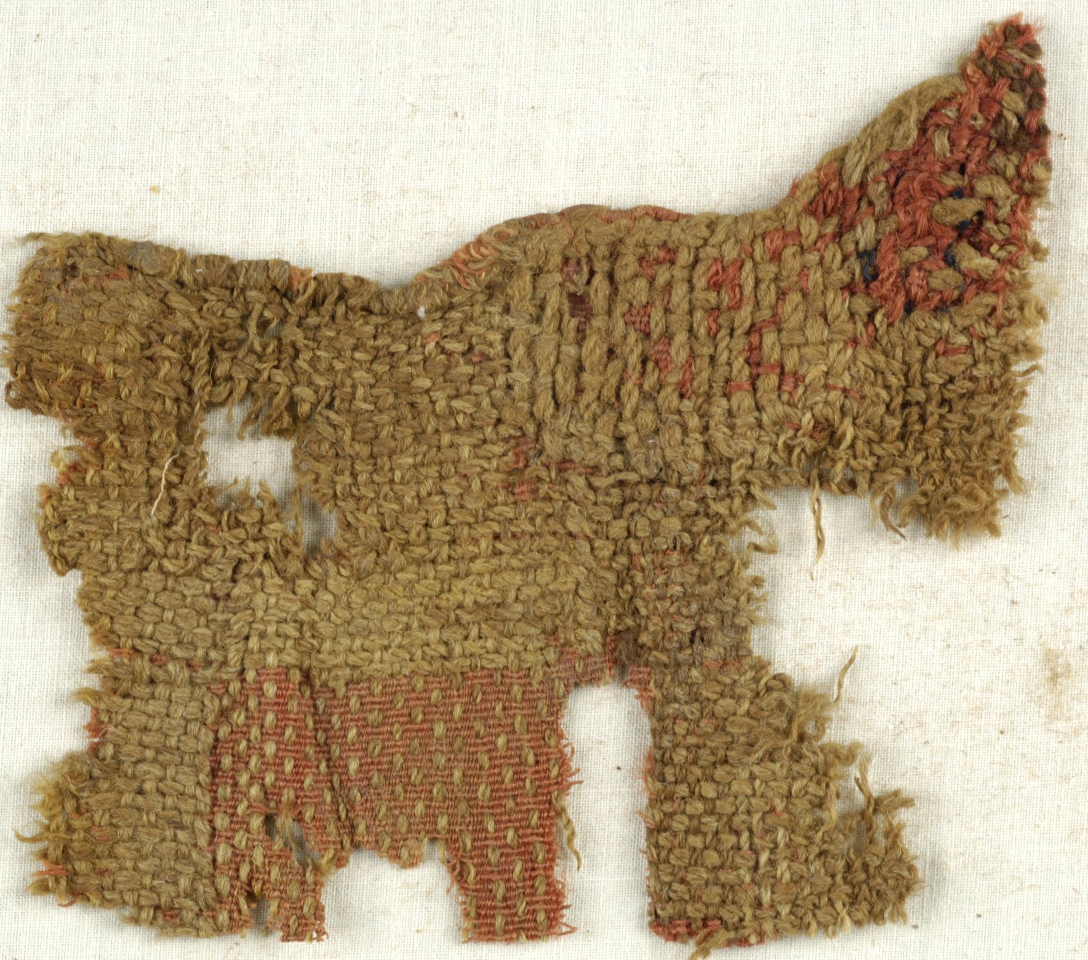 Fragment of Check Pattern