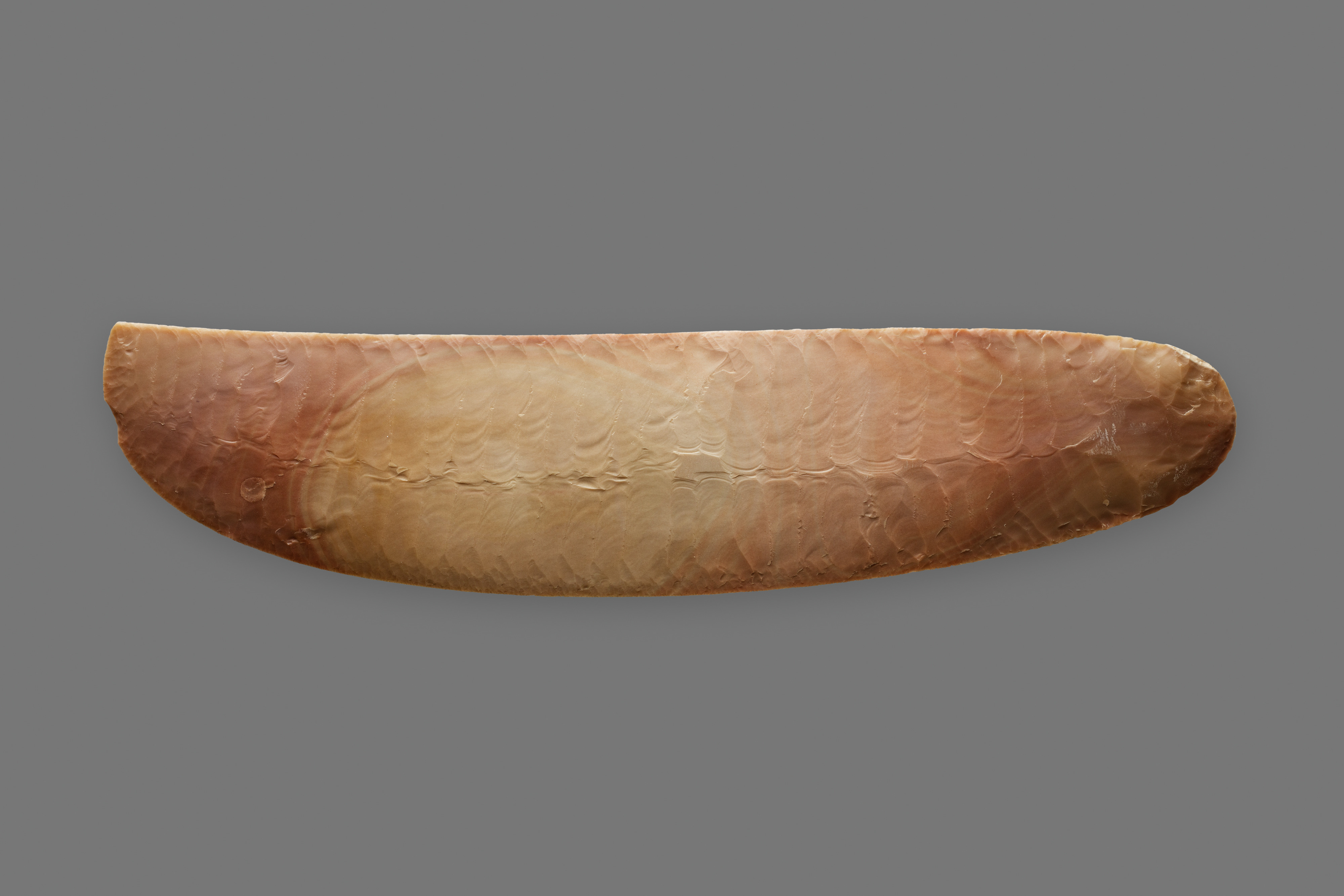 Ripple-Flaked Knife