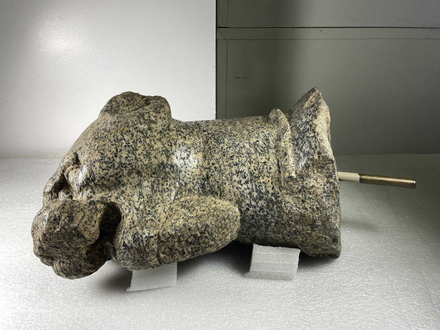 Head of Panther