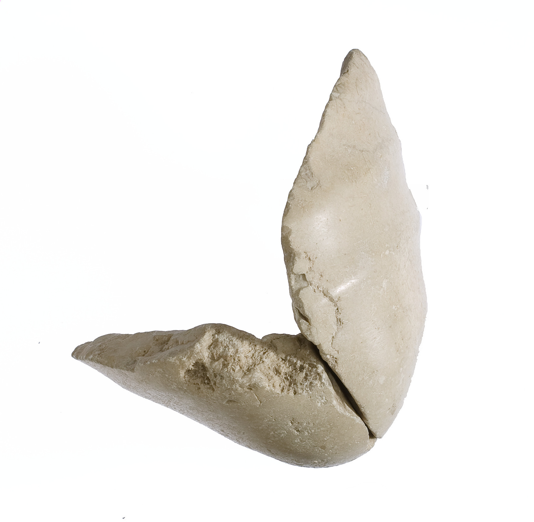 Elbow, with garment