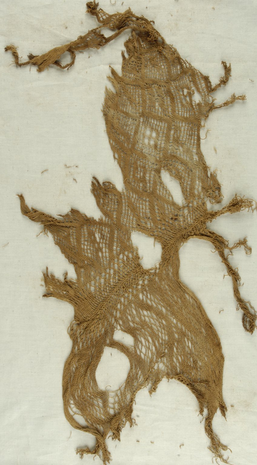 Fragment of Cap