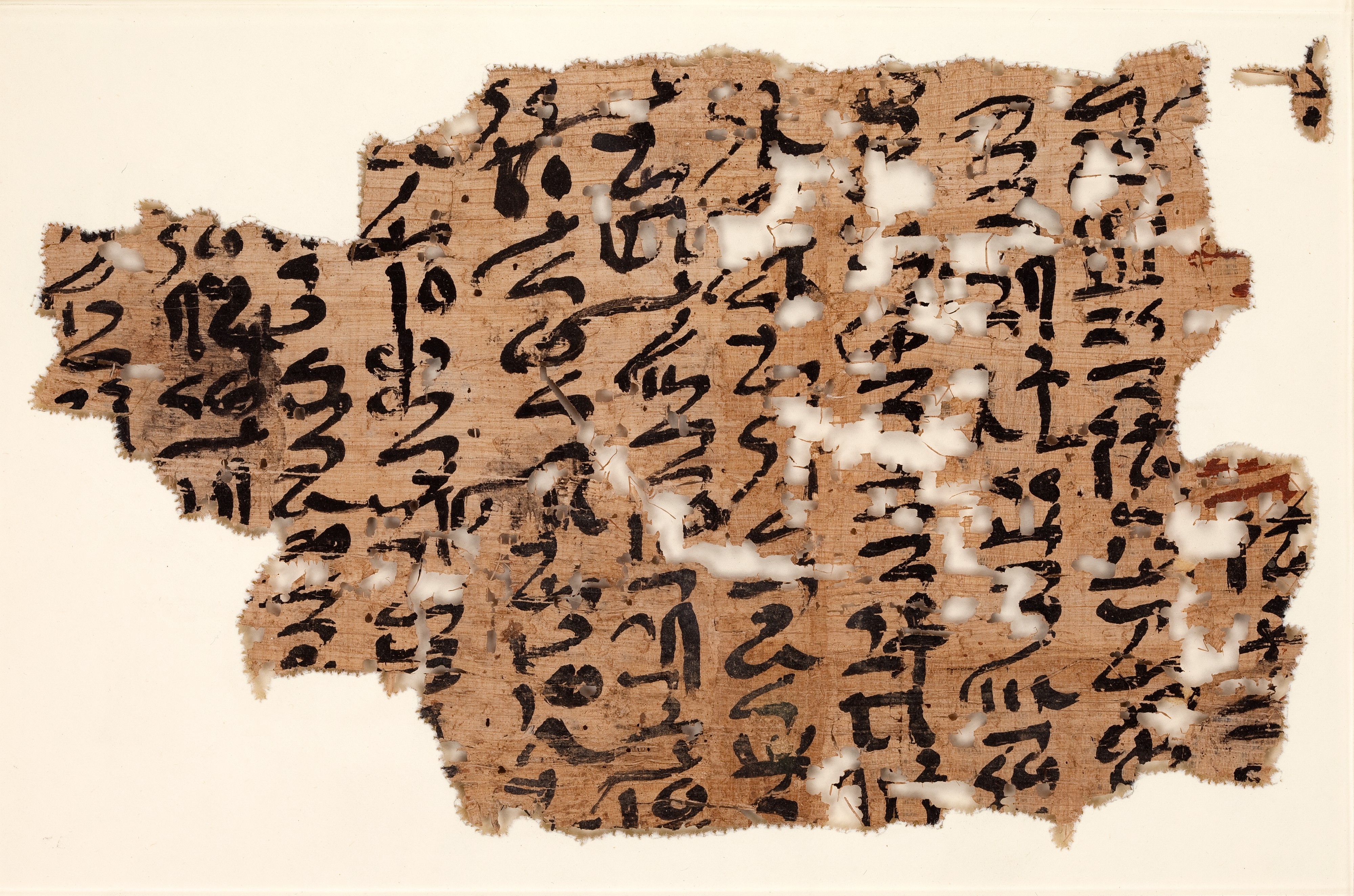 Papyrus
