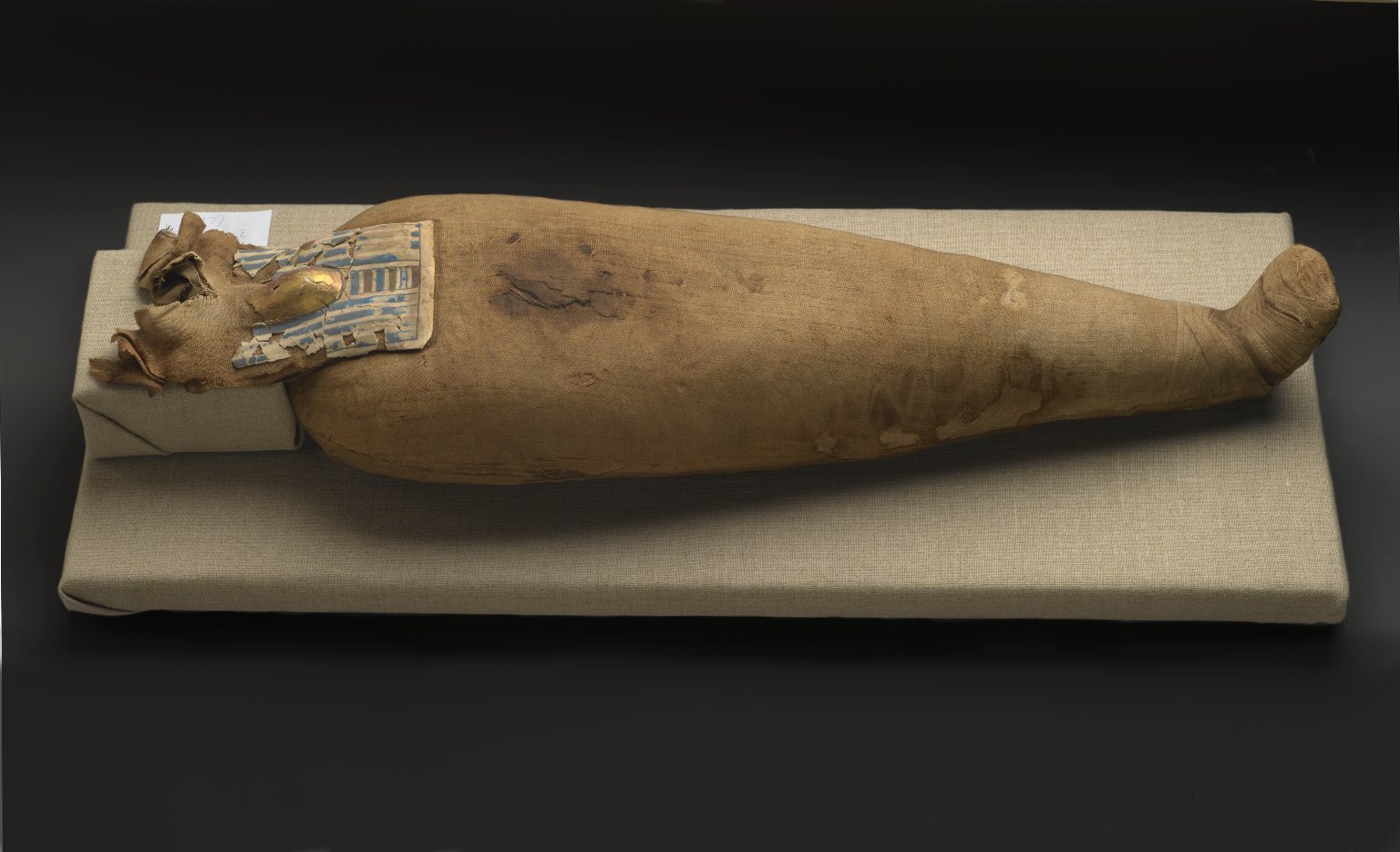 Ibis Mummy