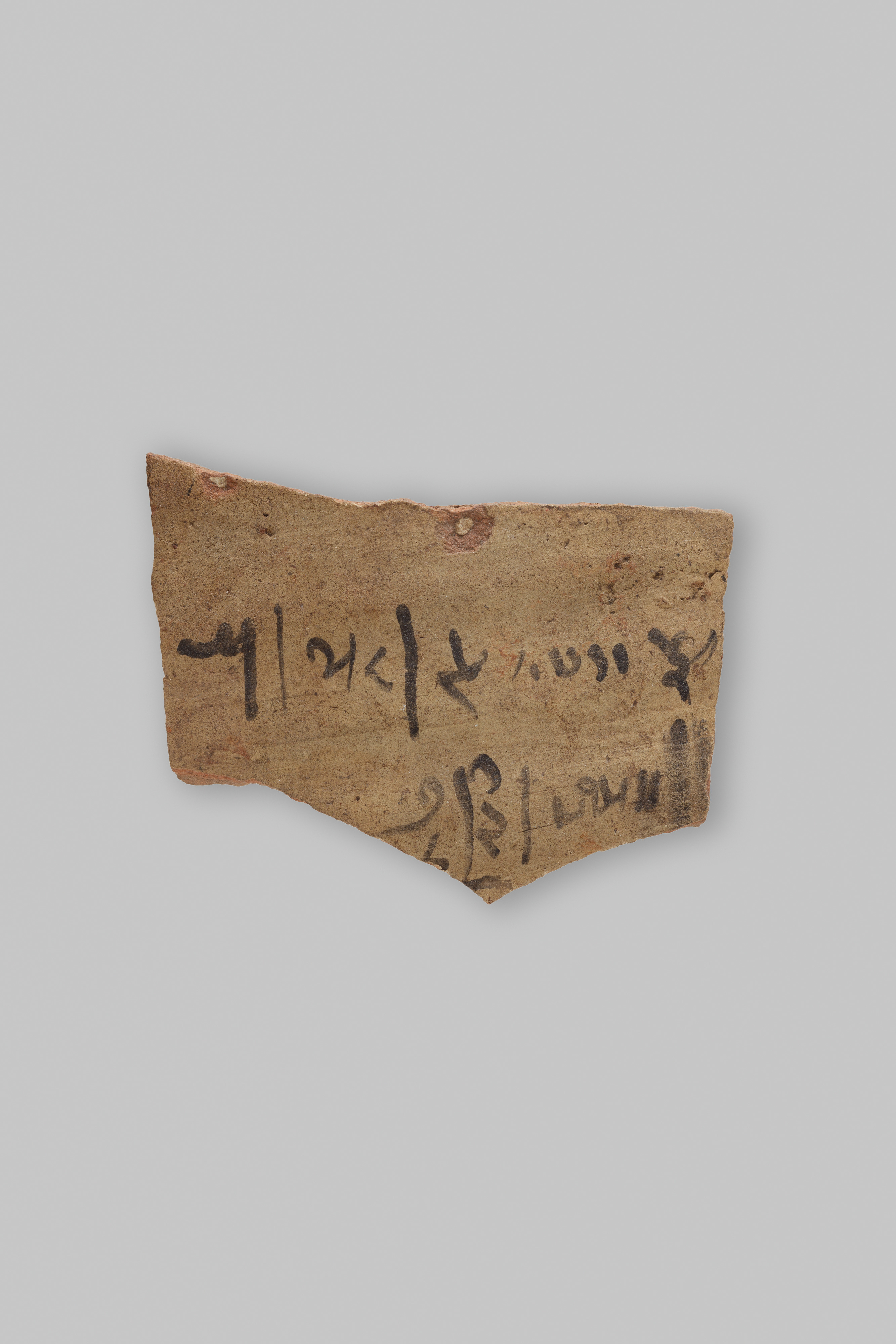 Ostracon