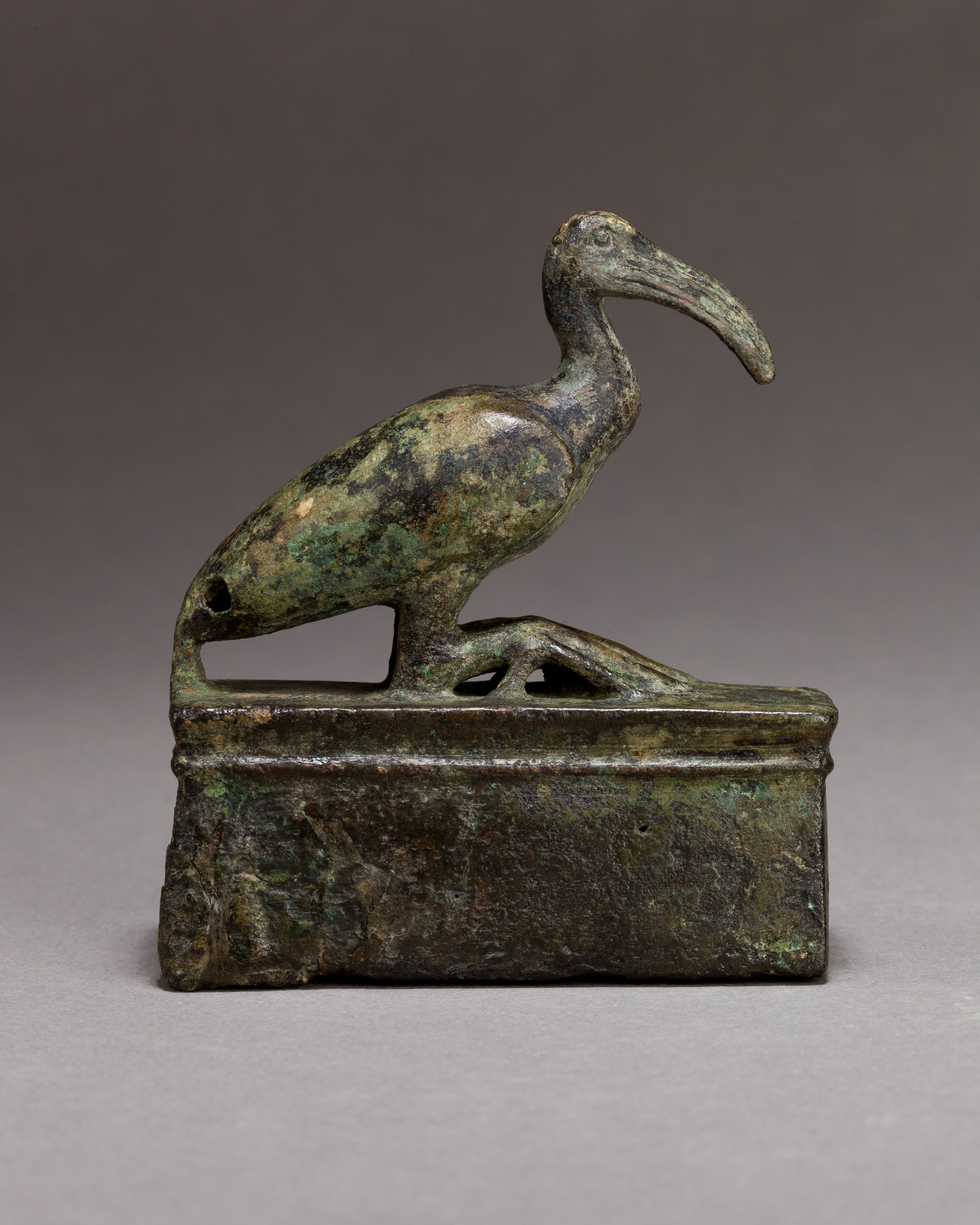 Ibis on a shrine shaped box, probably for an animal mummy