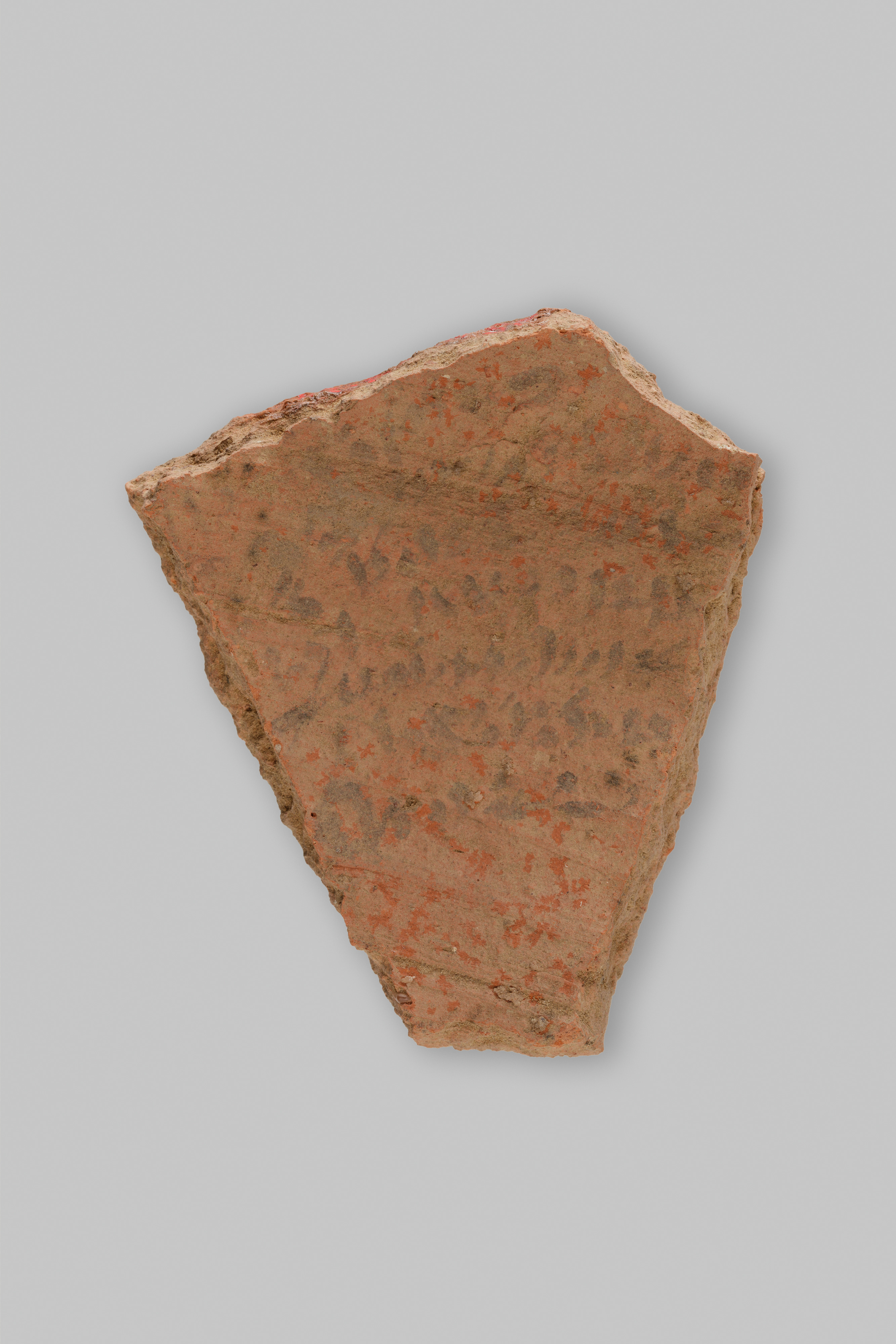 Ostracon