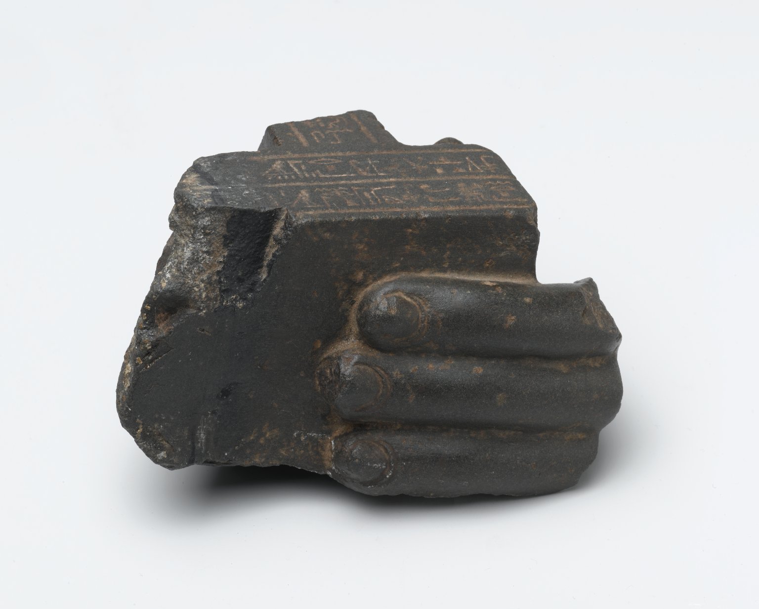 Fragment of a Left Hand