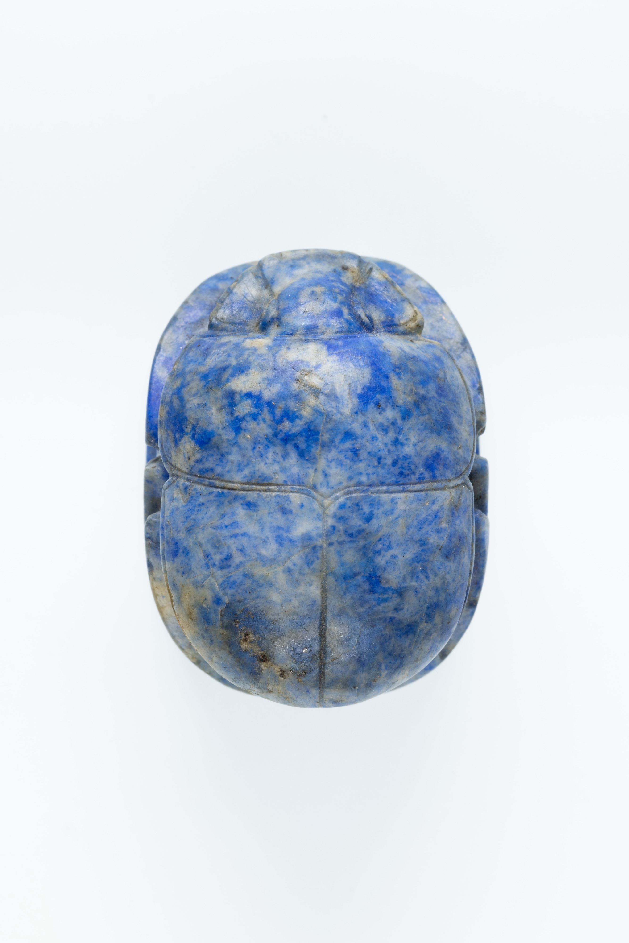 Scarab