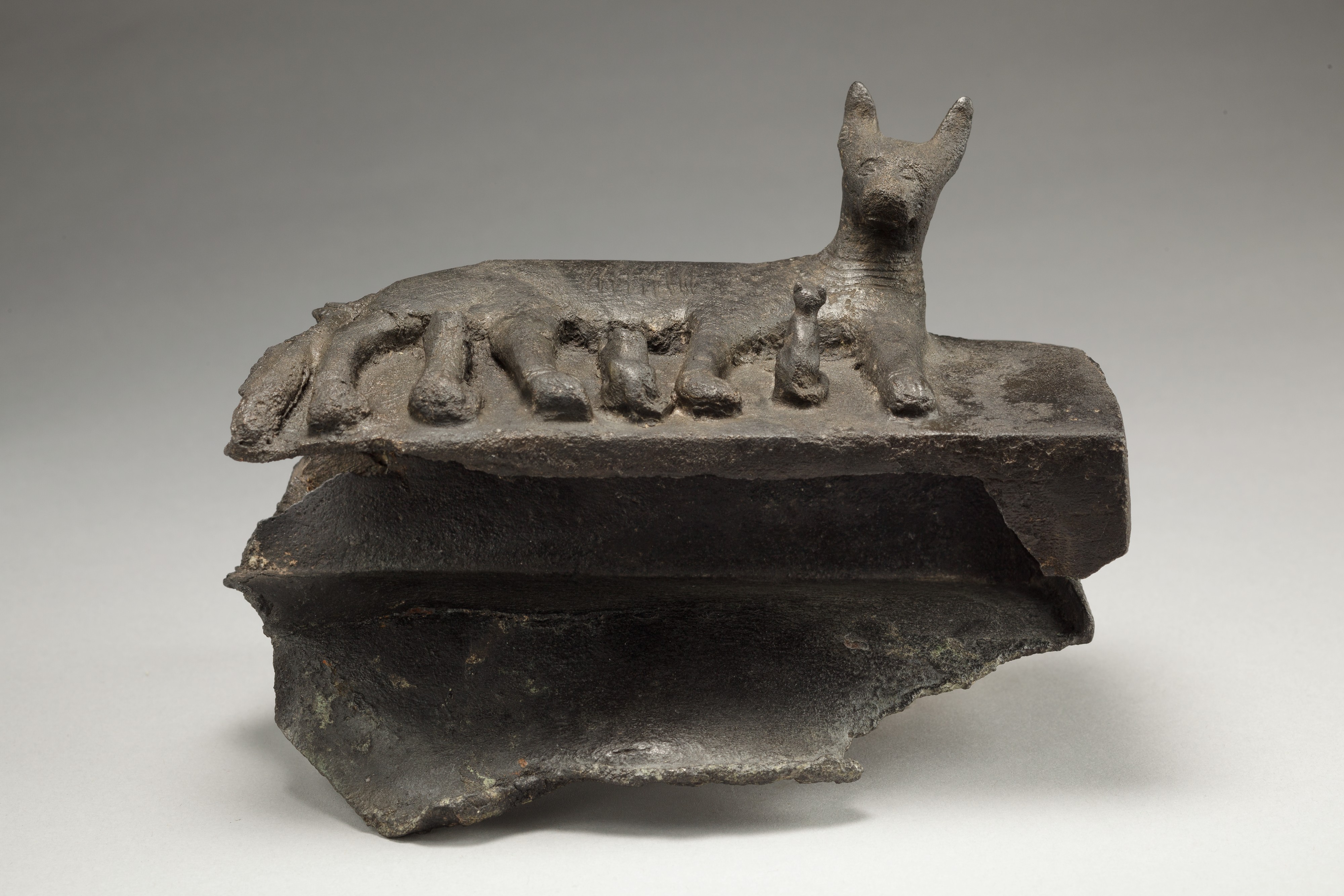 Cat with kittens on damaged box for animal mummy