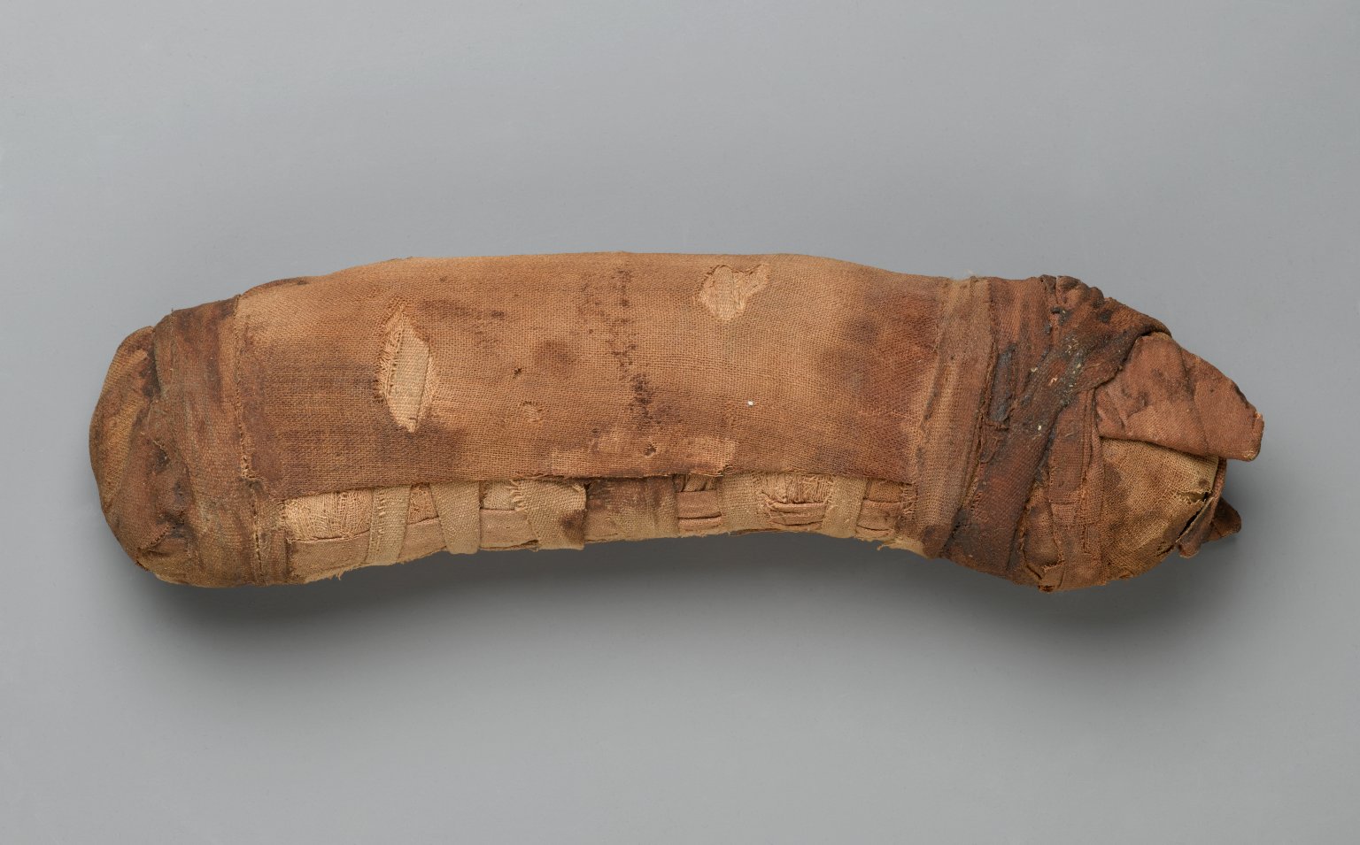 Bundle in Form of Cat Mummy