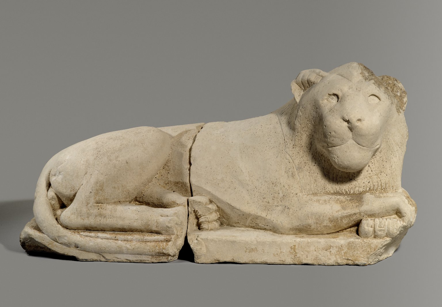Recumbent Lion